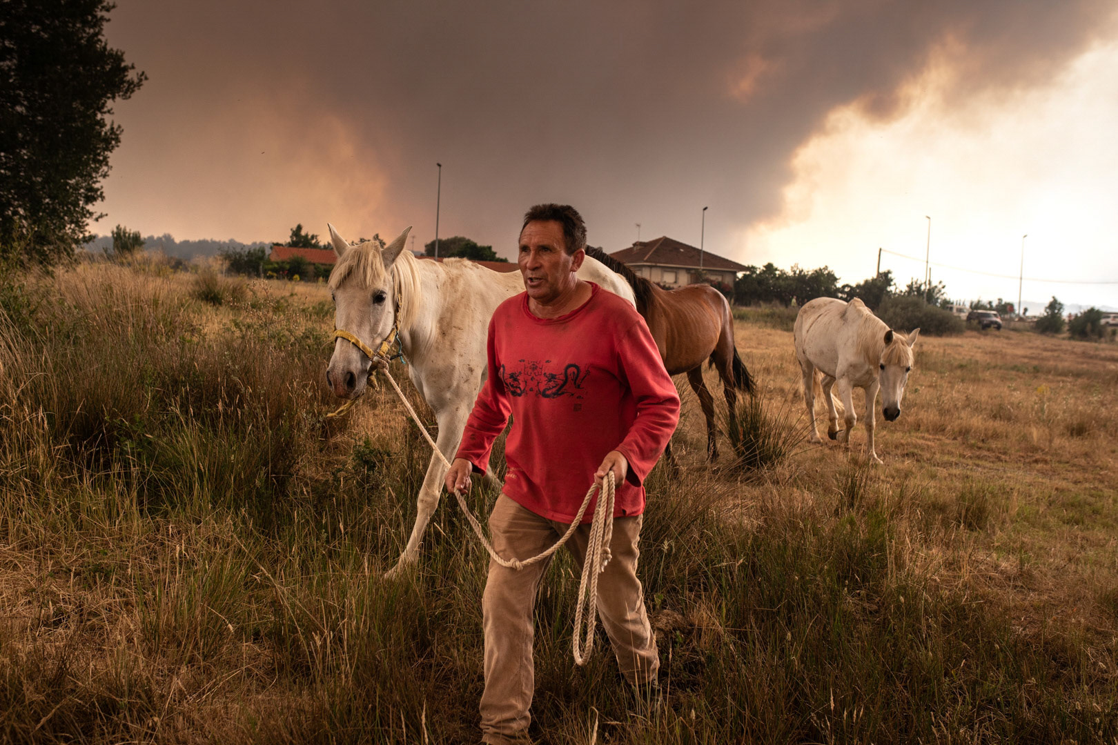 INCENDIO SIERRA DE LA CULEBRA. OLLEROS DE TERA