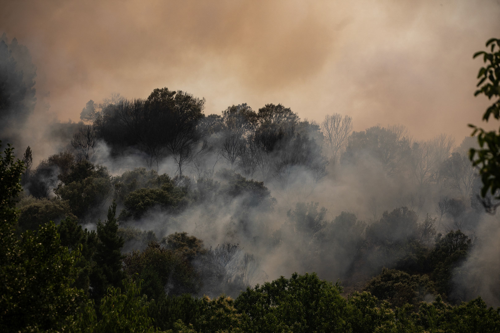 INCENDIO FORESTAL ALISTE. FIGUERUELA, VILLARINO DE MANZANAS, PETISQUEIRA Y RIOMANZANAS