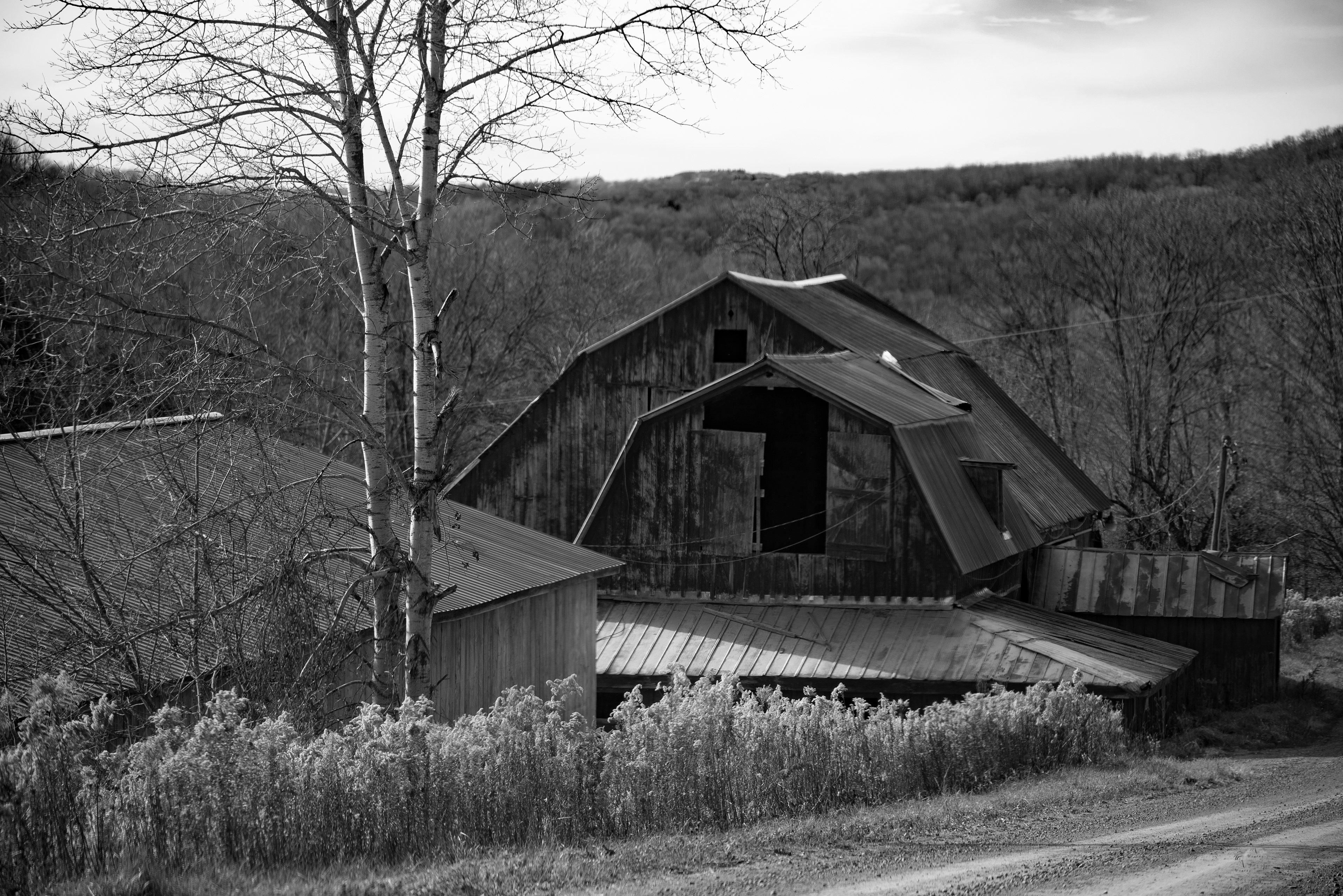 Barn on Shamrock Rd.
