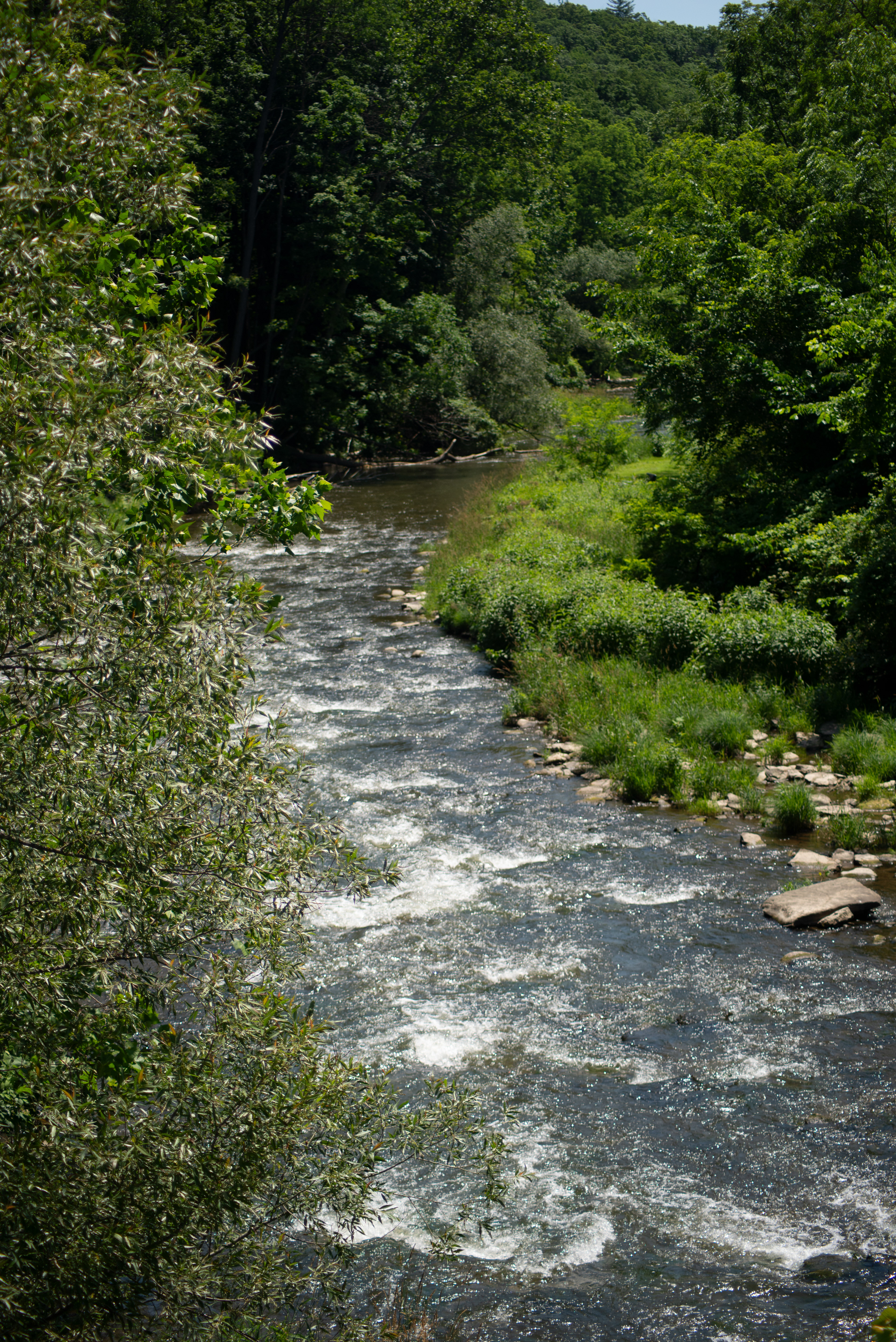 Wiscoy Creek