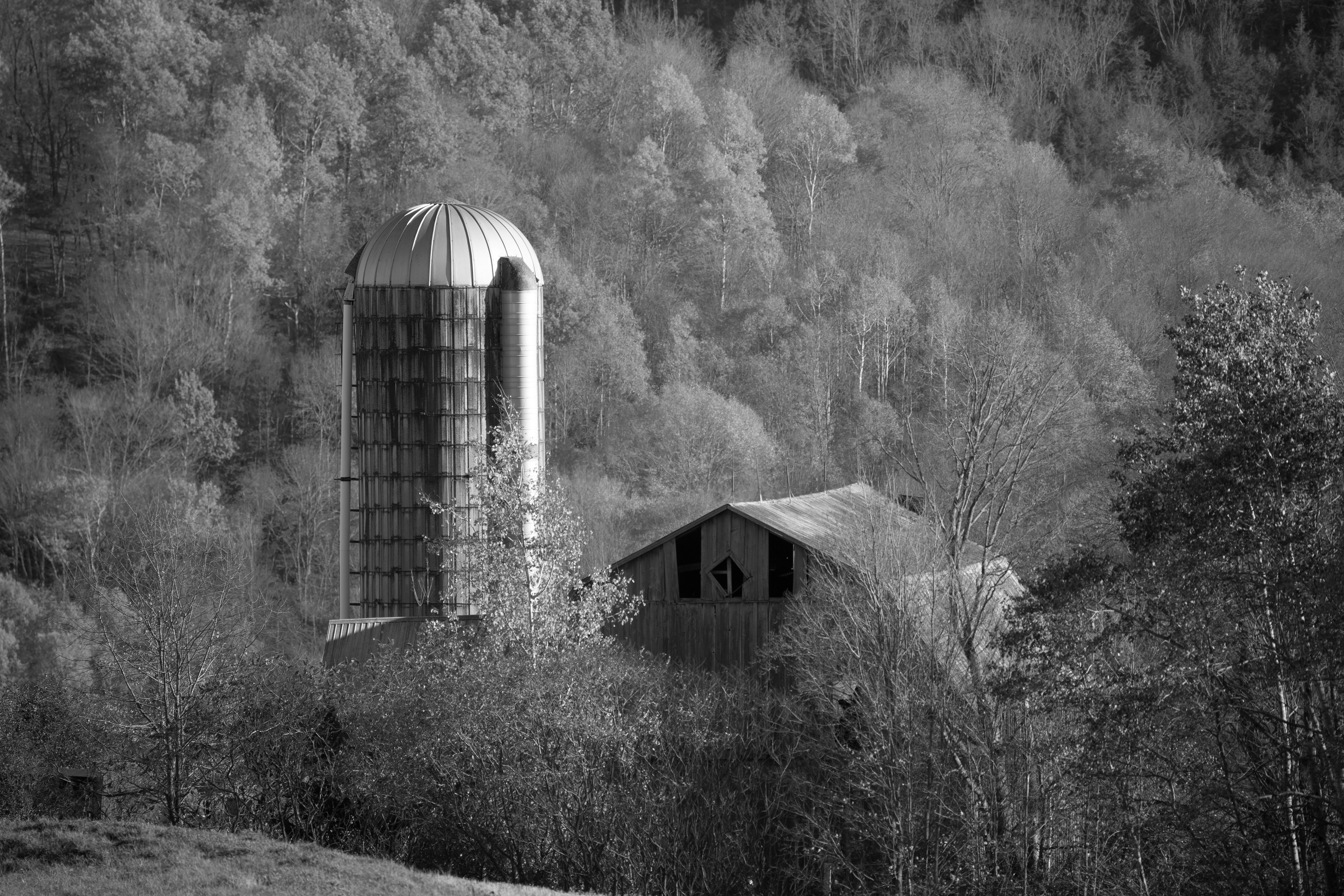 Floating Barn