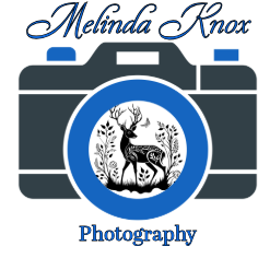 Melinda Knox