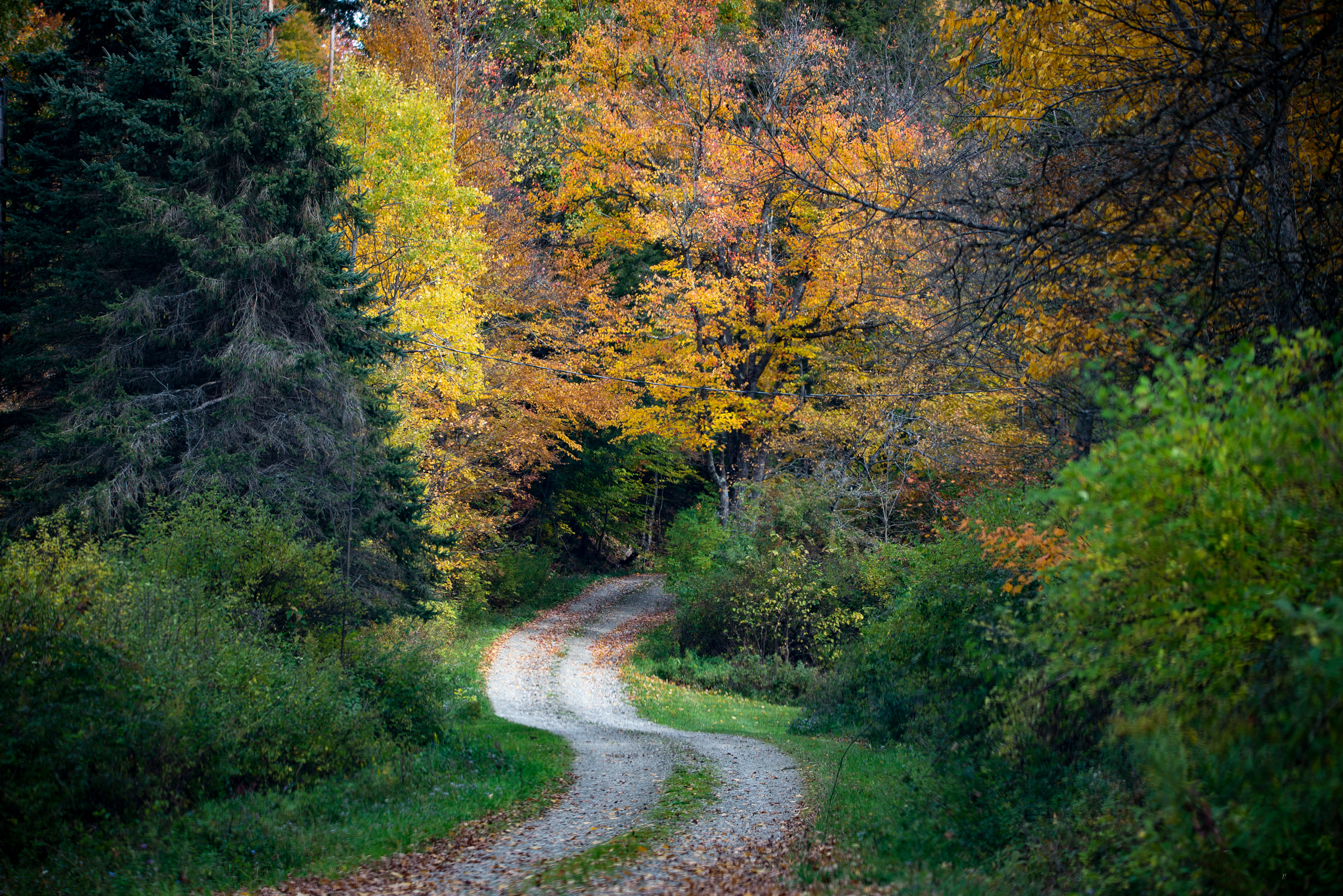 Road into the Unknown