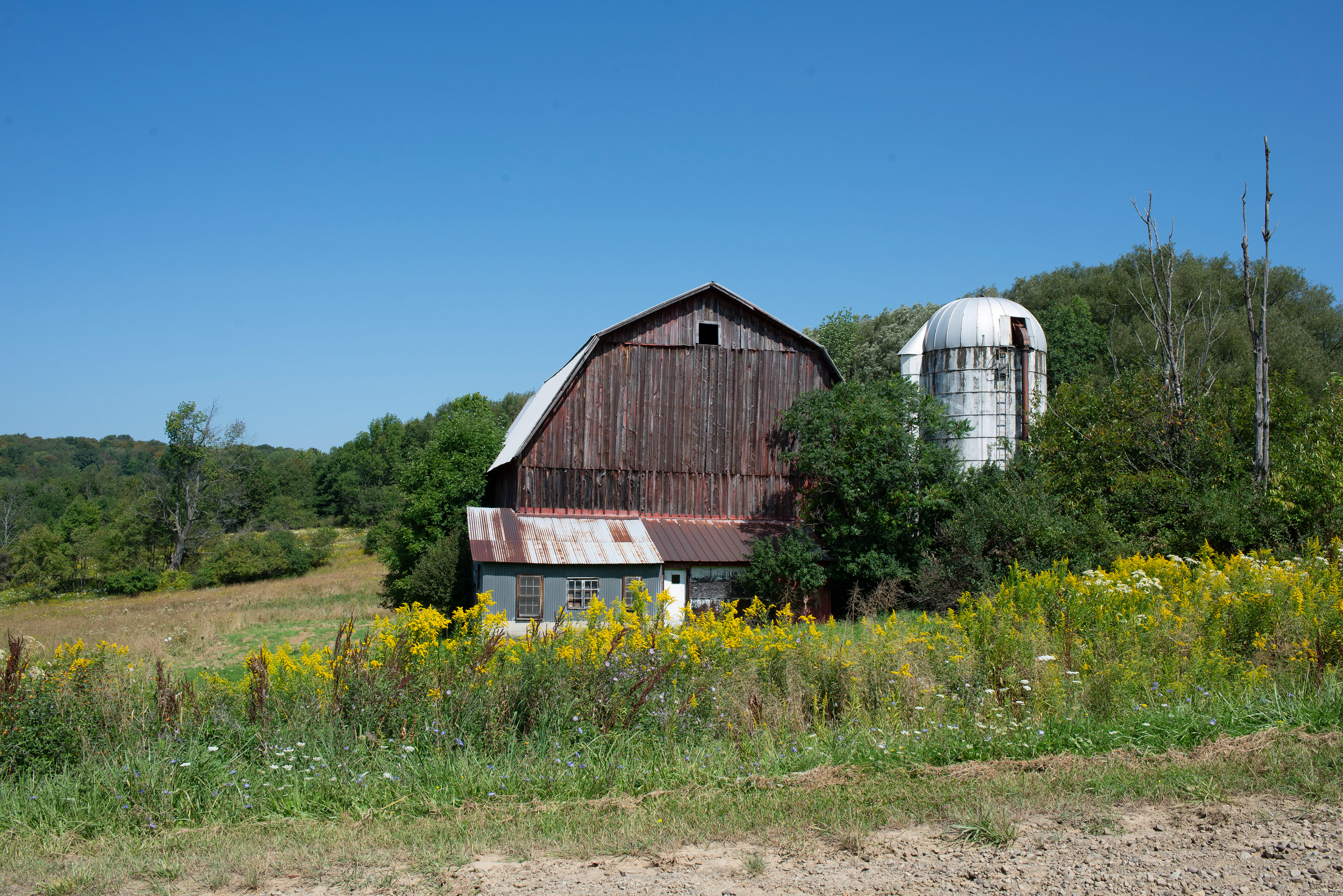 Old Barn with Silo