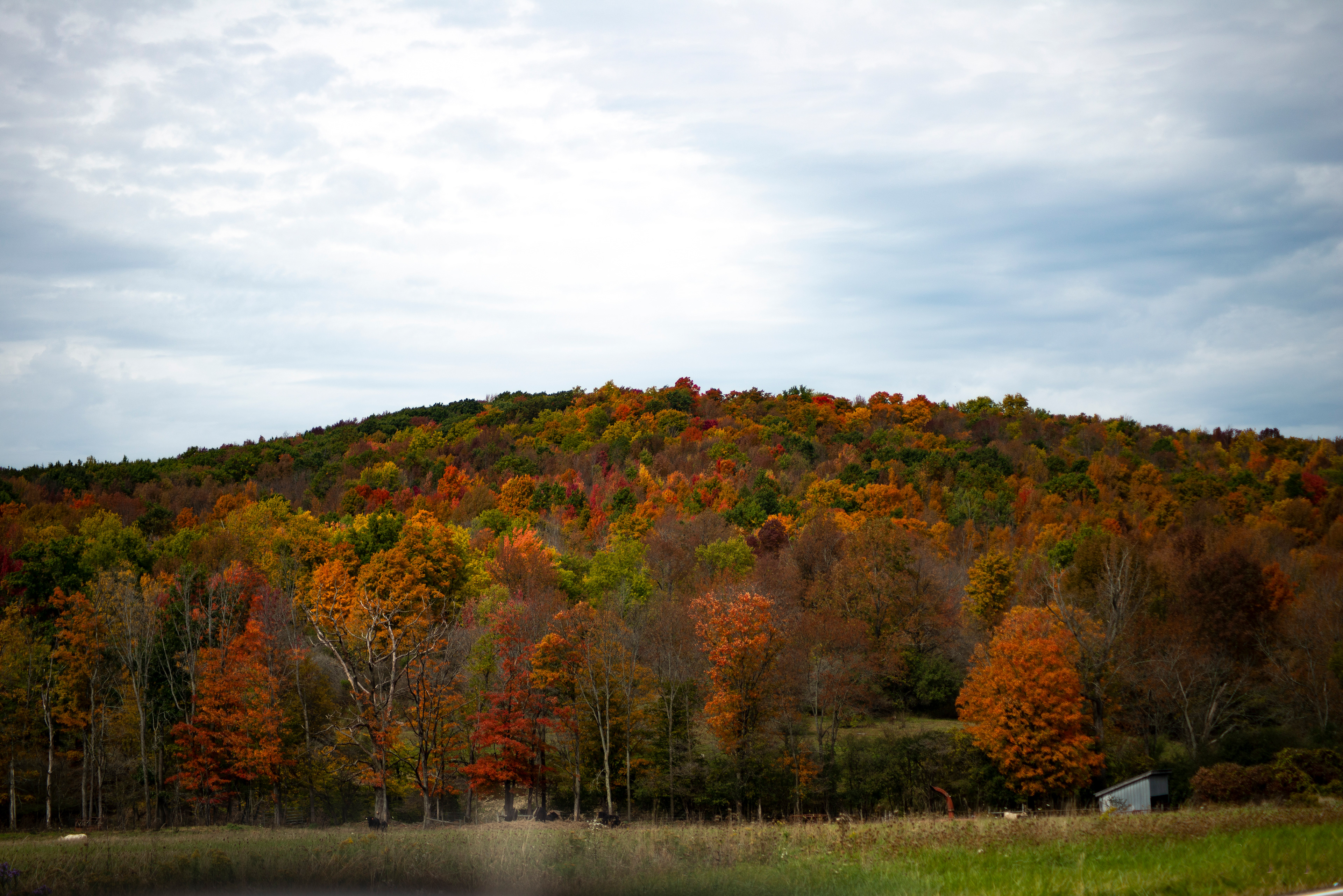 Fall in the Country 3