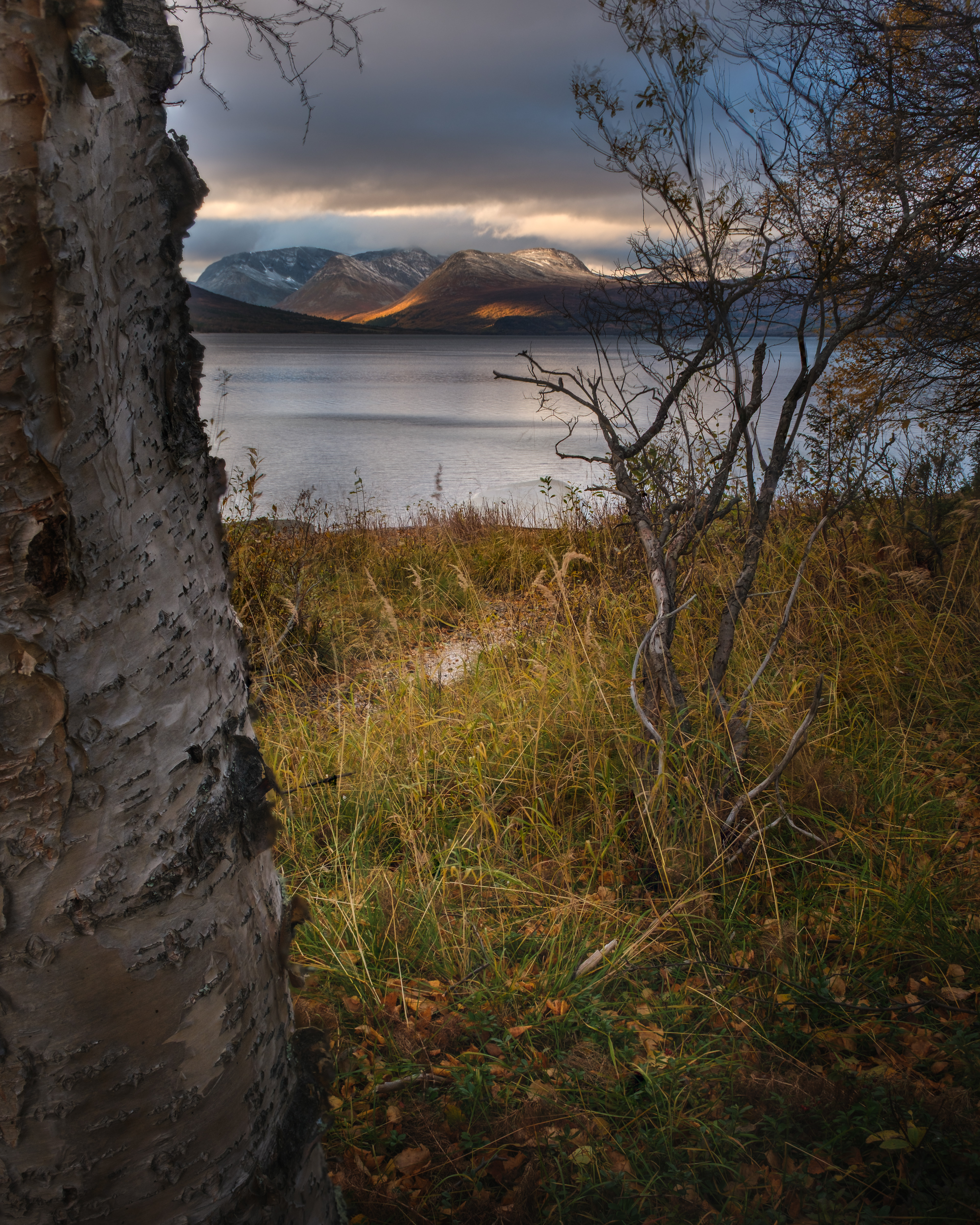 The light in the mountains