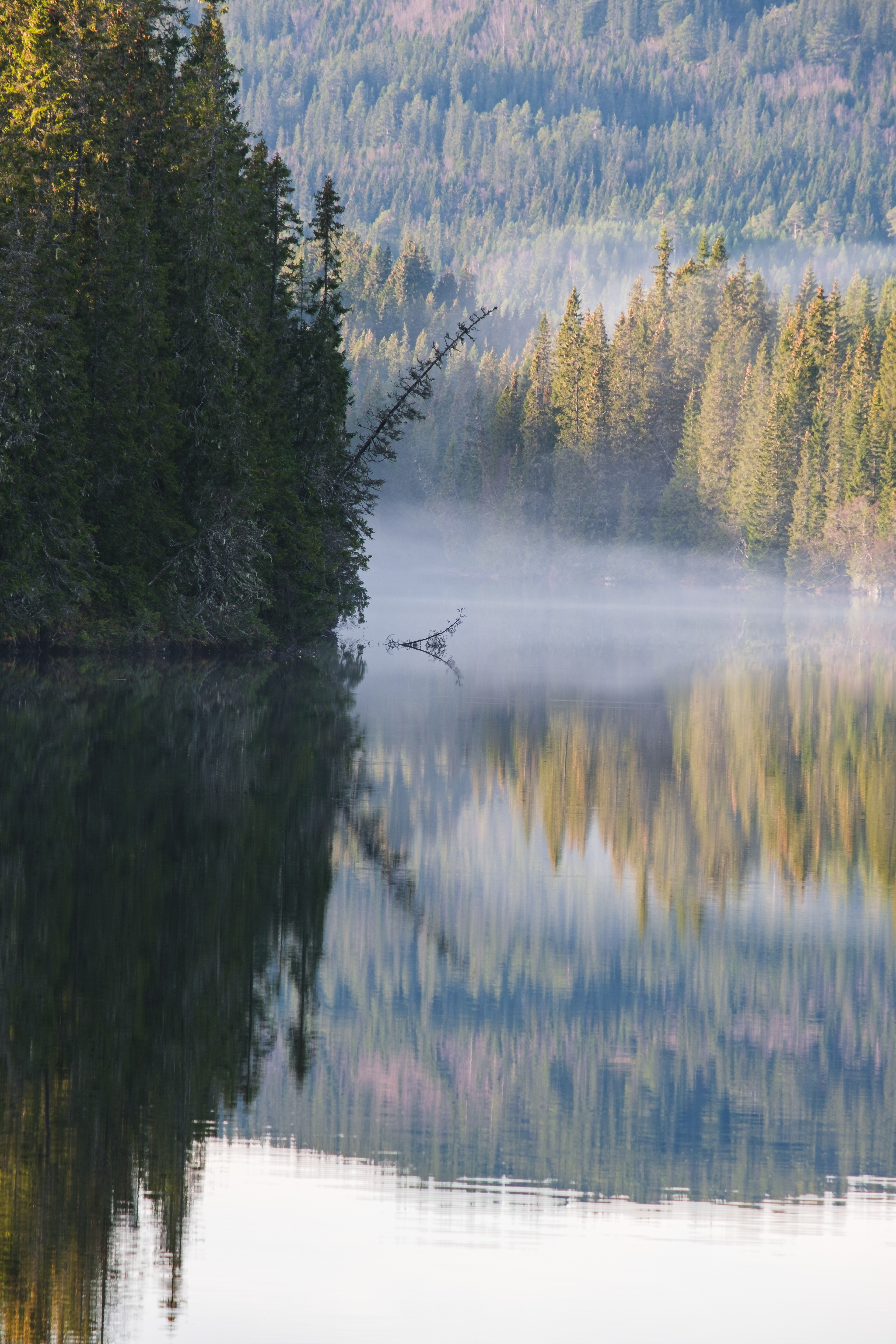 Reflective fog