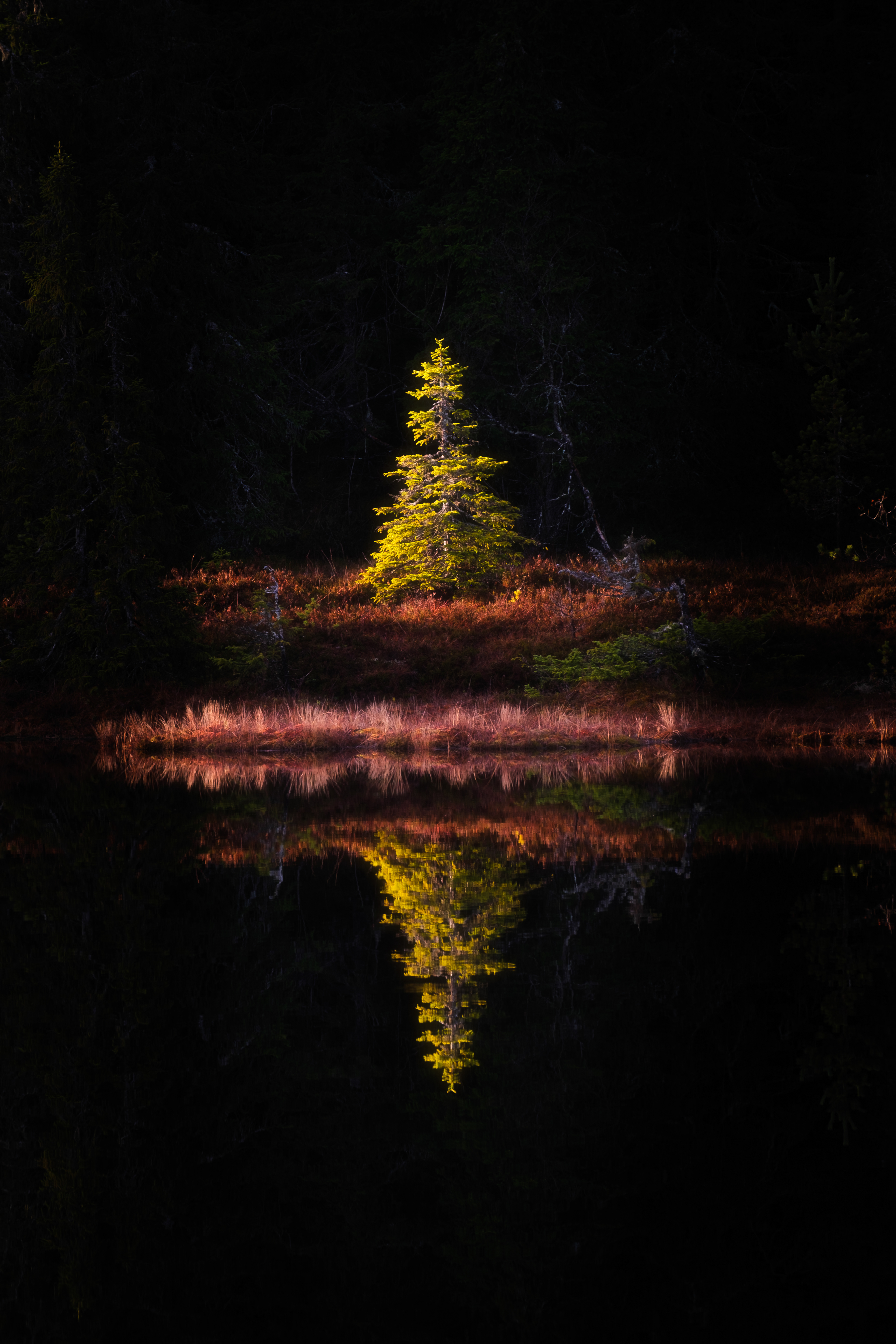 Christmas came early