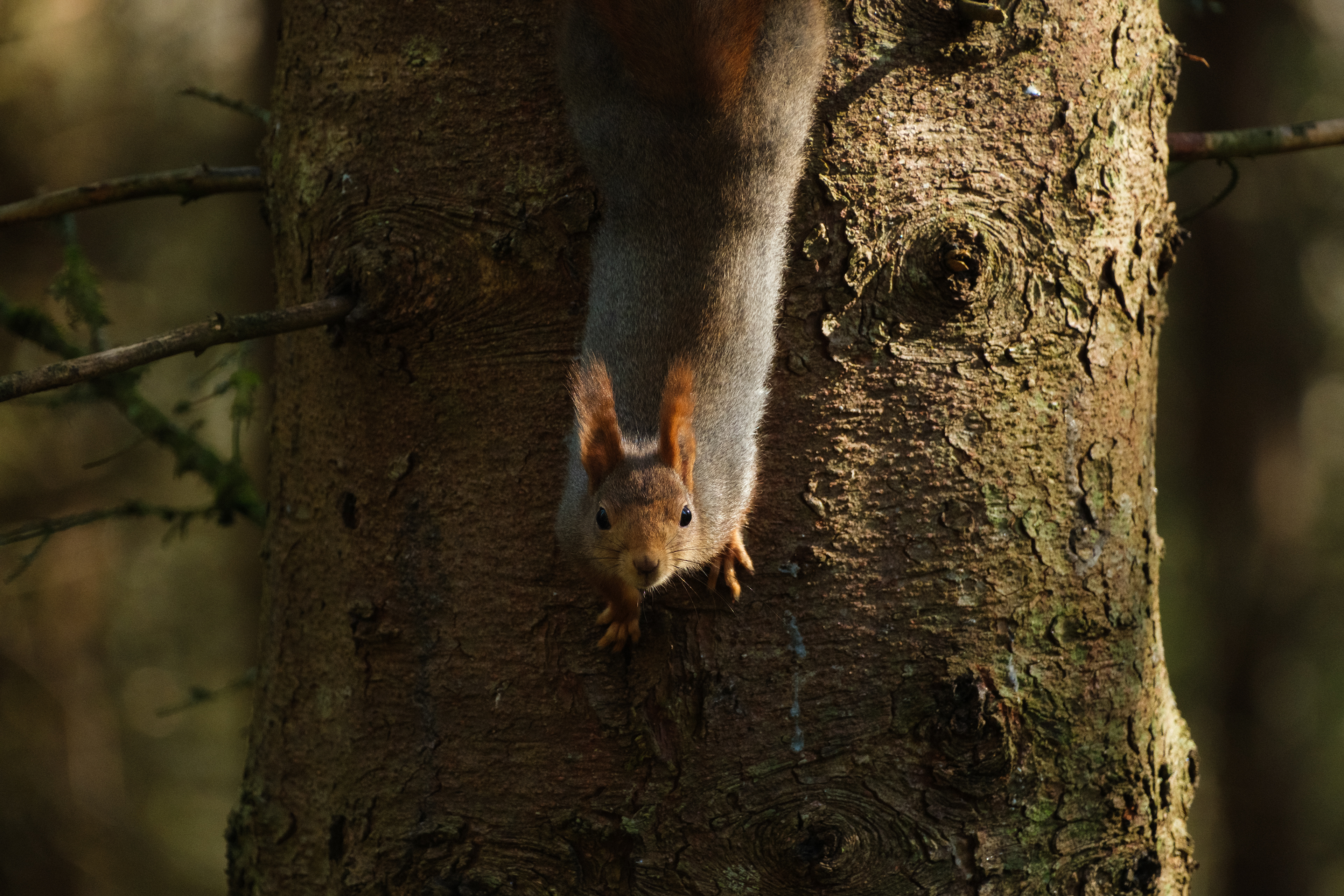 "what are you doing here?"