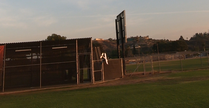 Crashing into the Fence