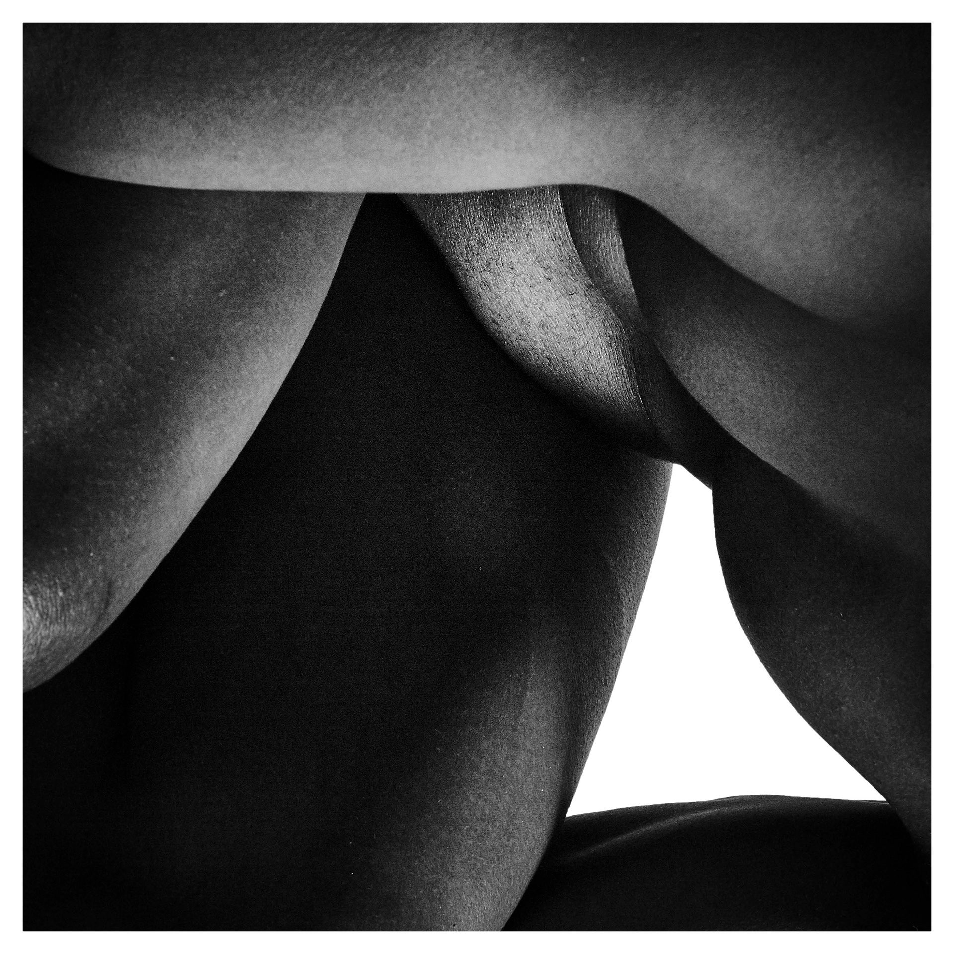 Landscape of context. Series 