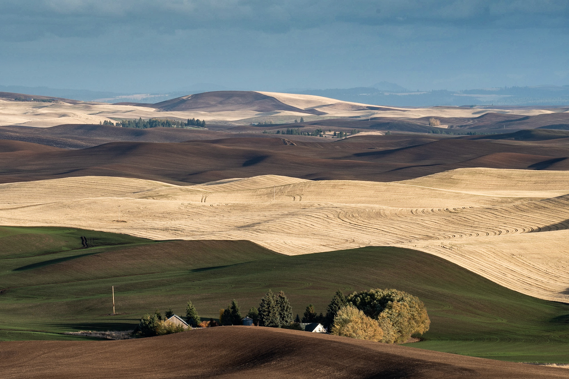 The Palouse Washington