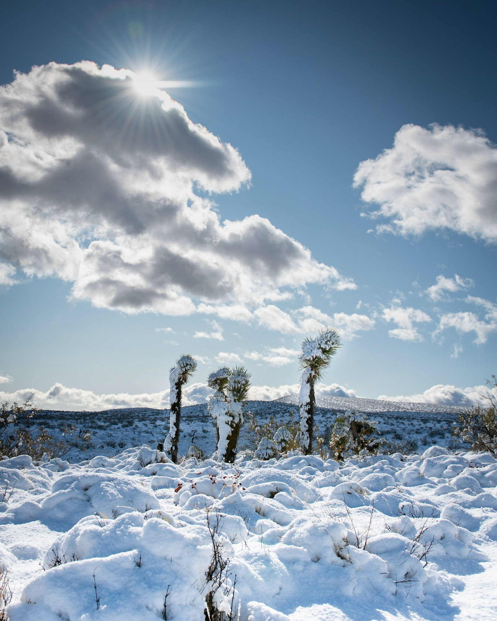 El Paso Range Mojave Desert