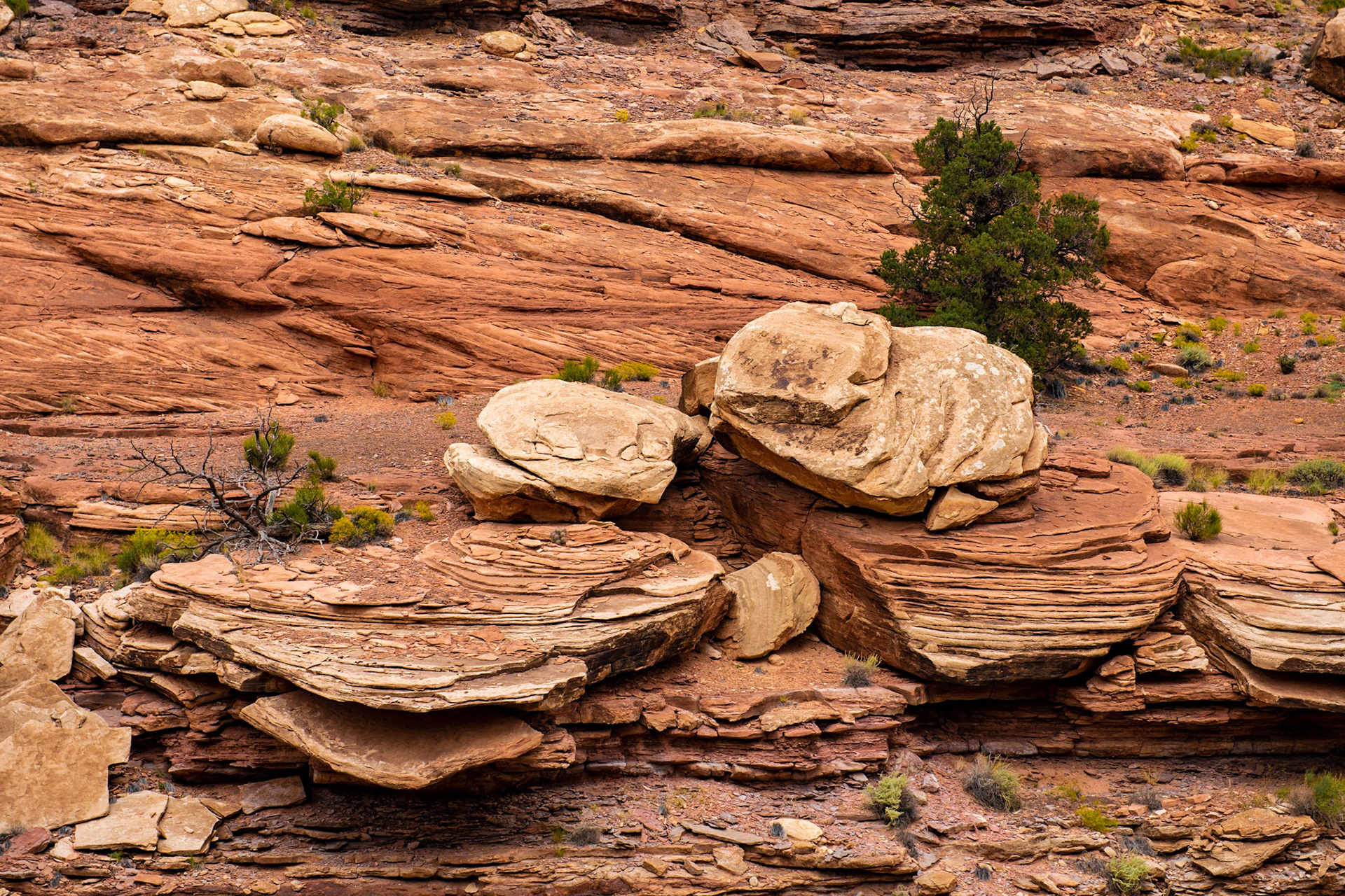 Canyonlands National Park