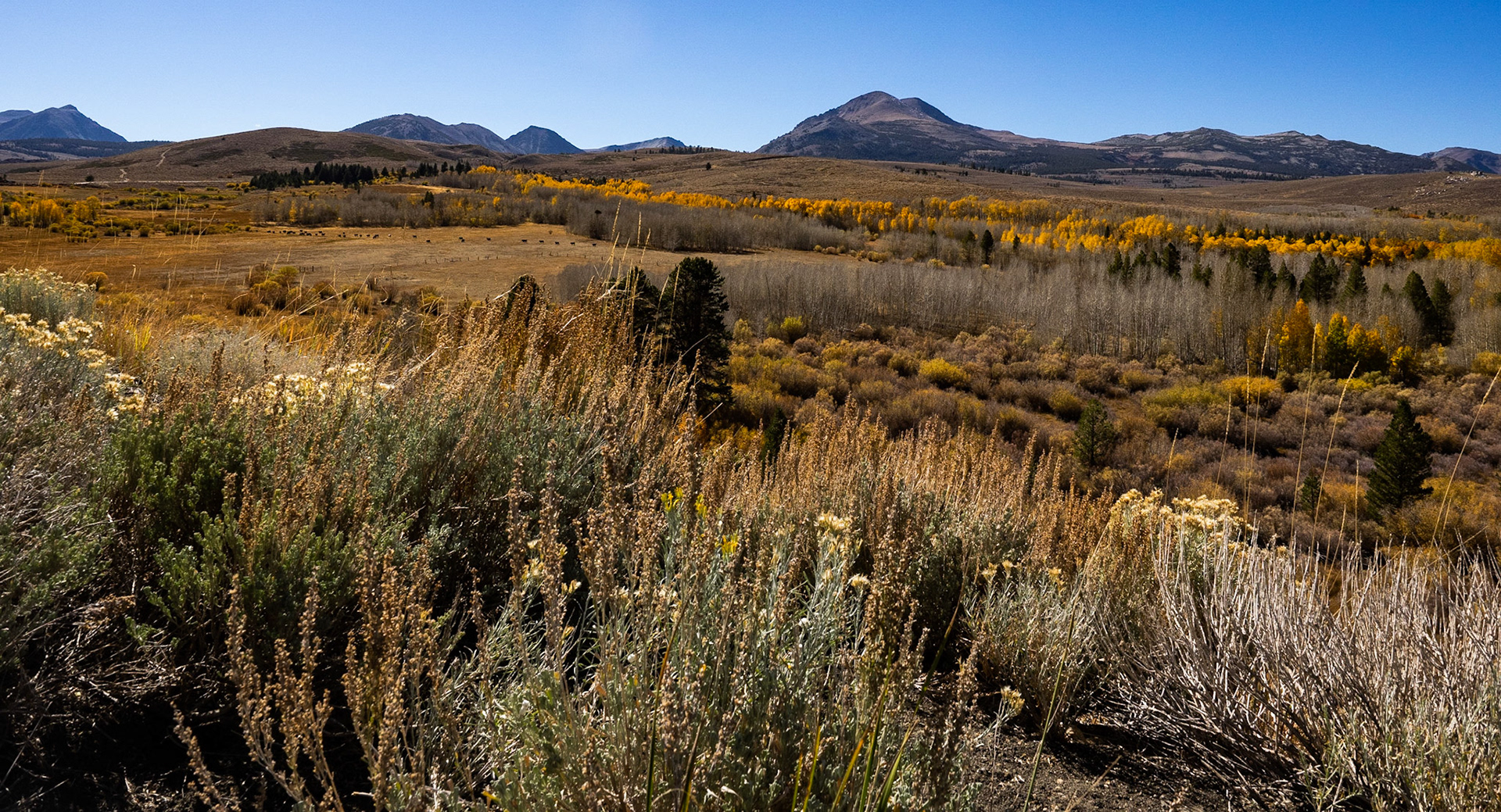 Conway Summit California