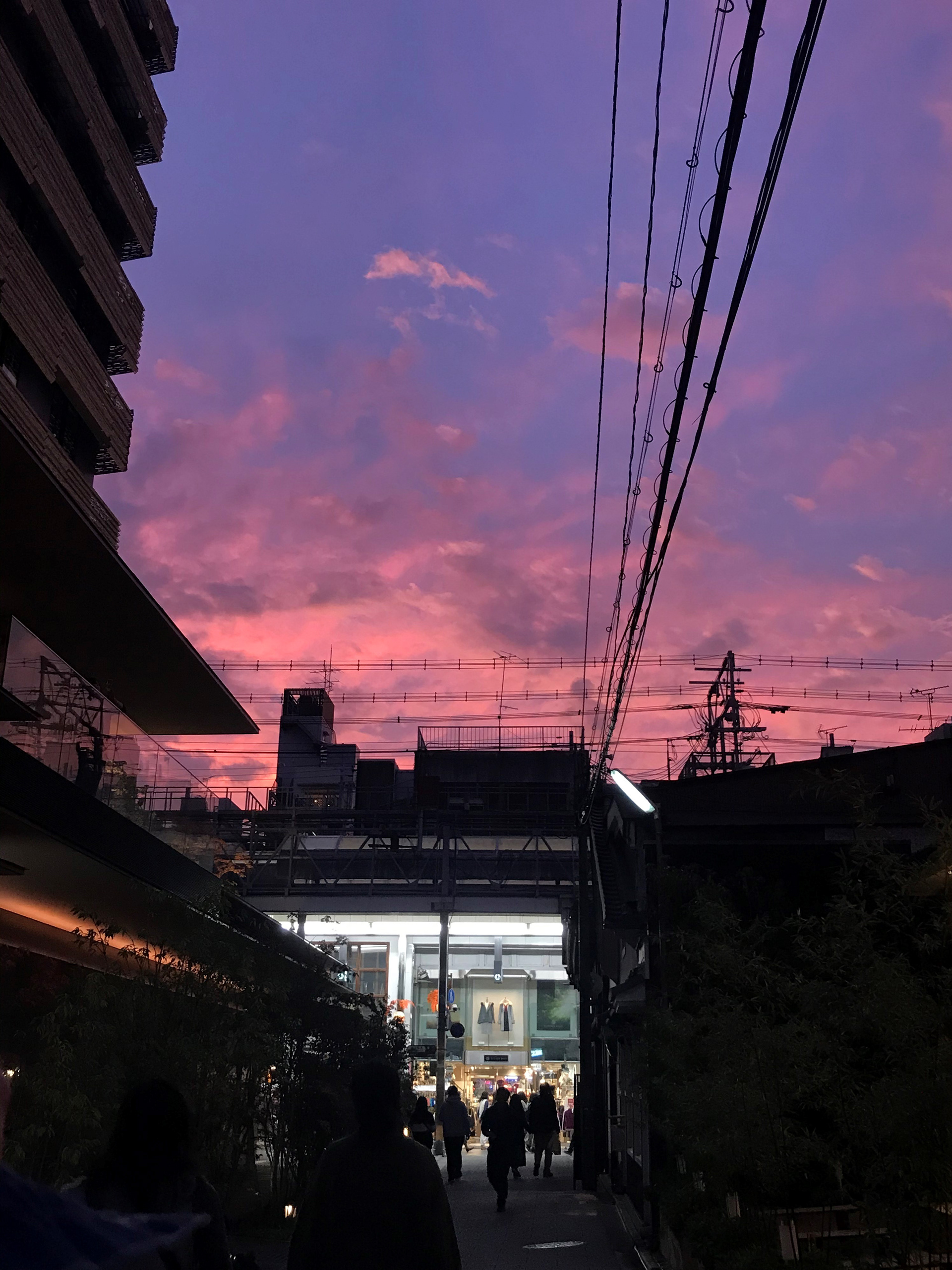 Original photograph by Jamie Ira, 2019.