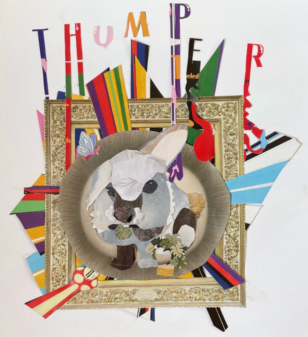 A collage of a Rabbit, at the shelter.