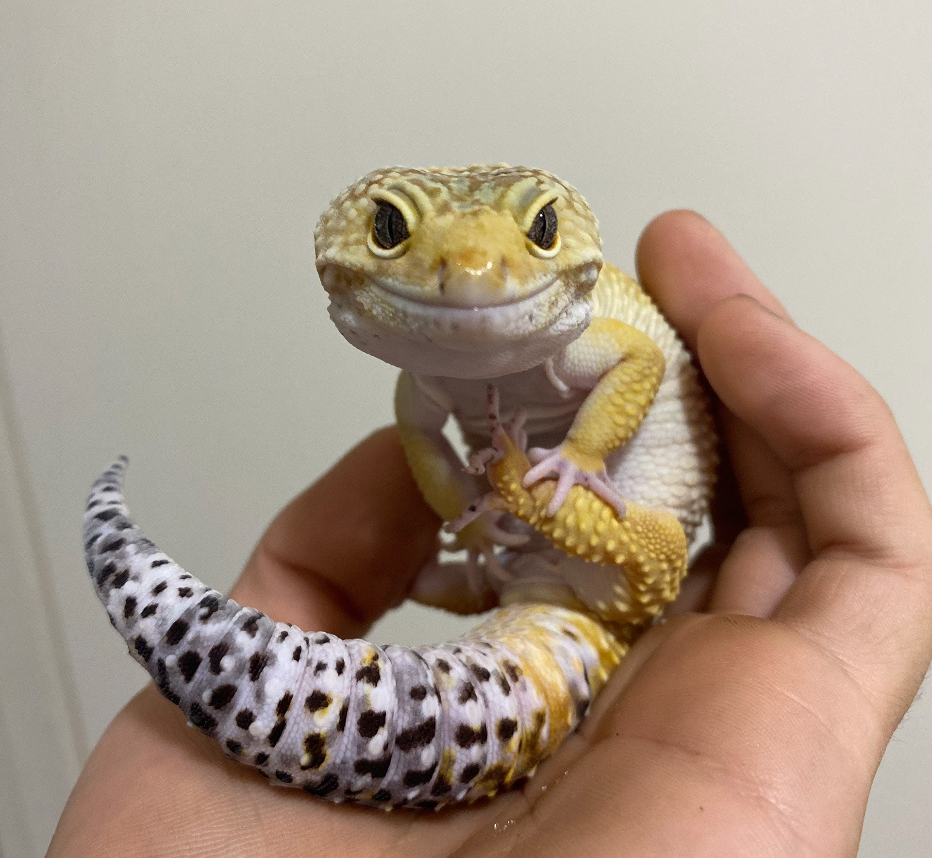 Ruby, my son.