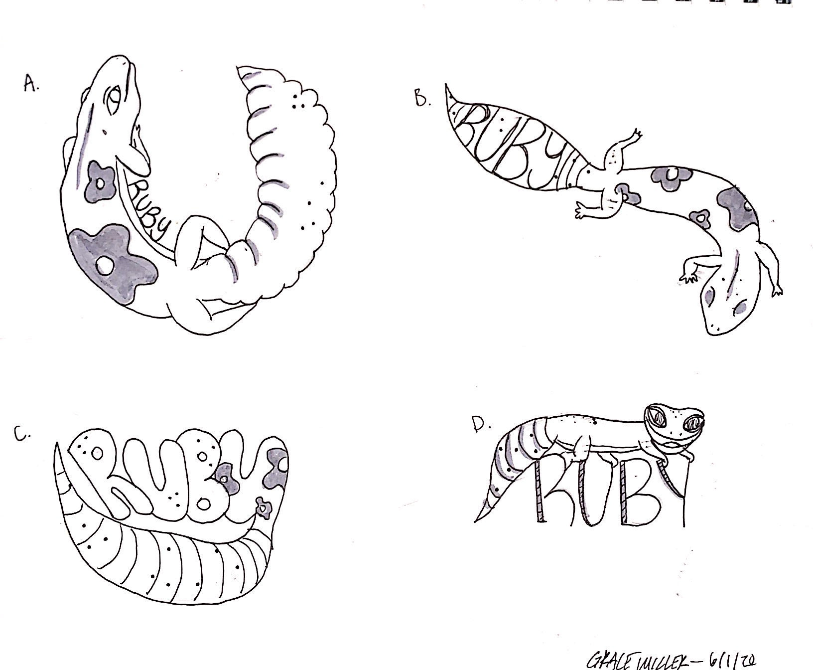 Ruby icon exploration