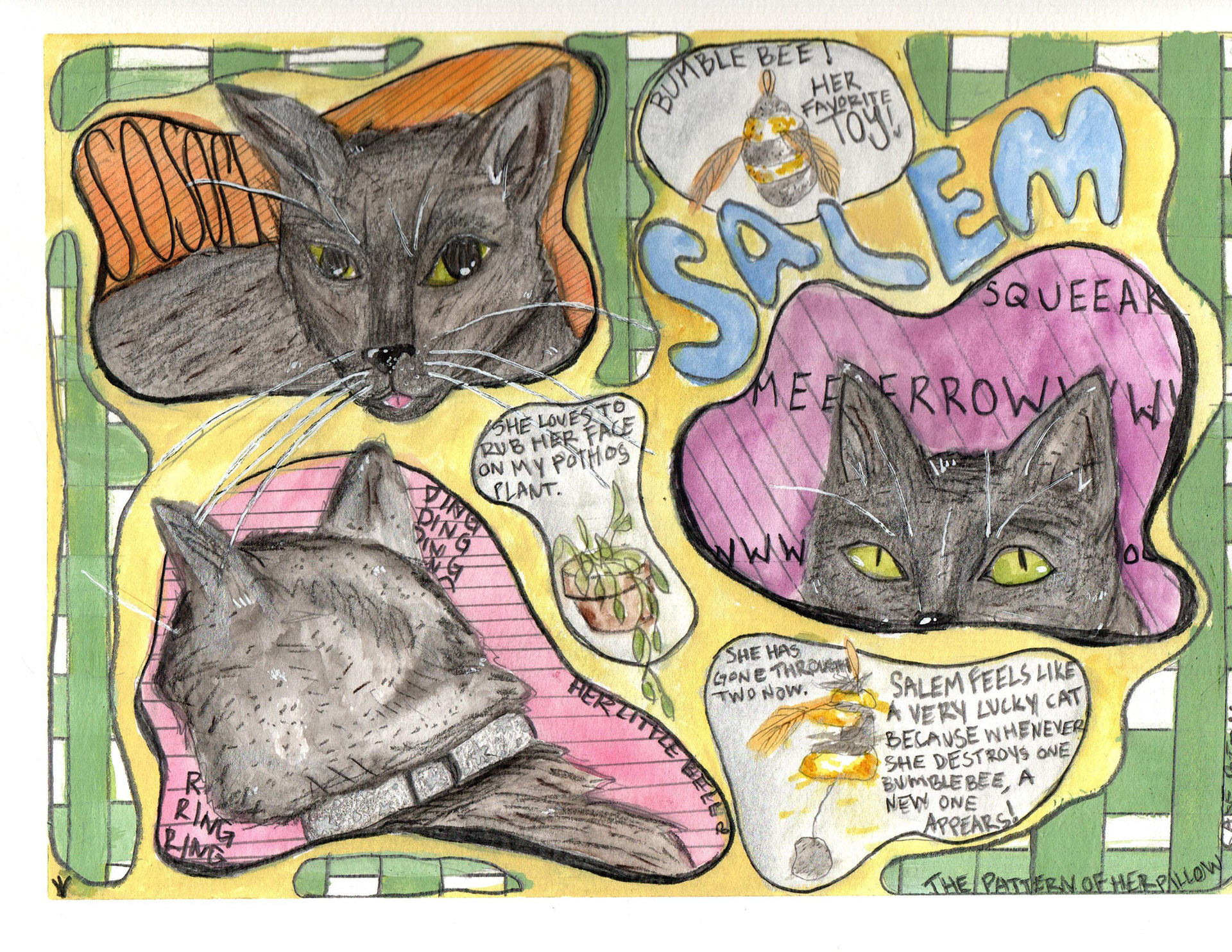 Salem profile page