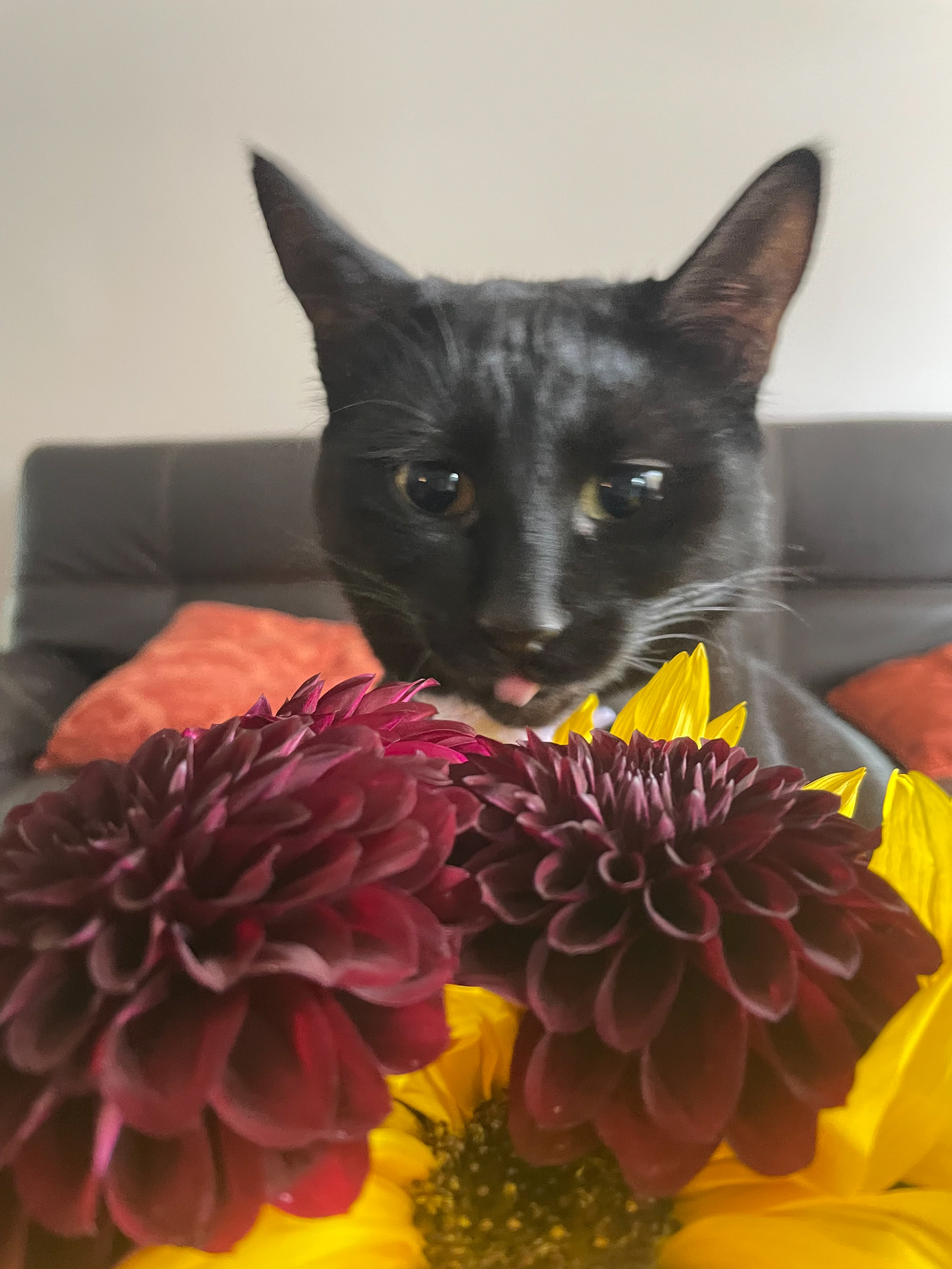 Salem, my daughter.
