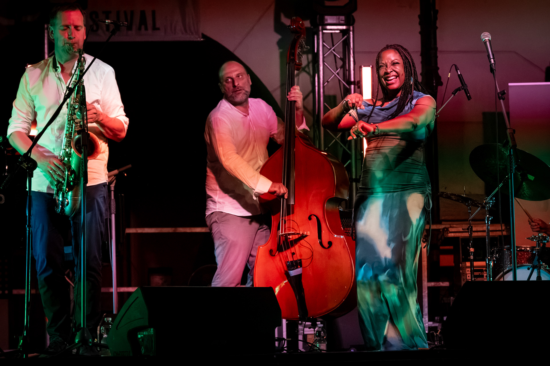 Lori Williams canta al Due Laghi Jazz Festival