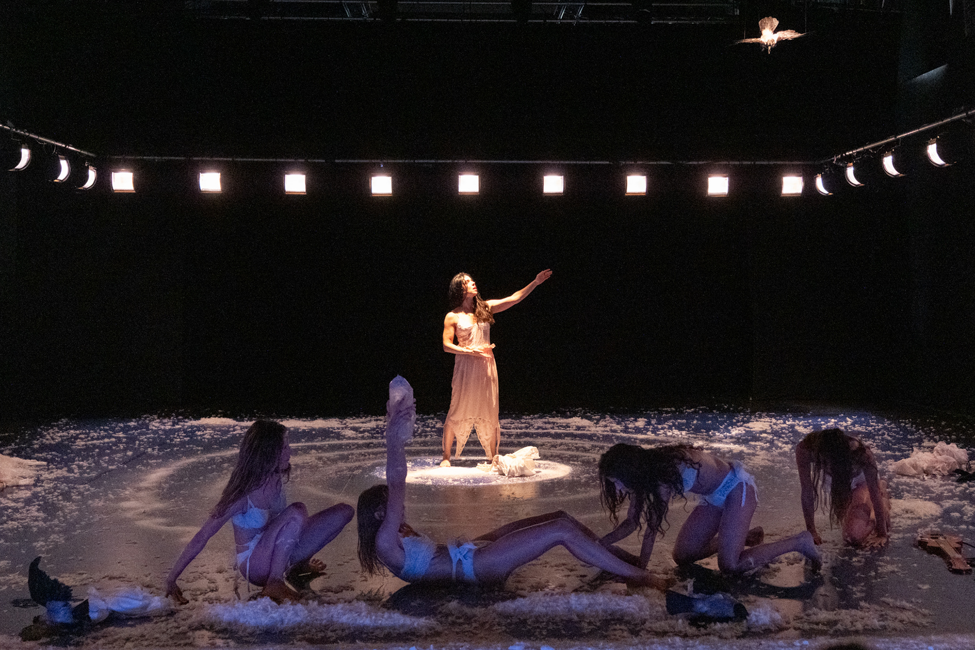 Una scena diella coreografia Cani lunari