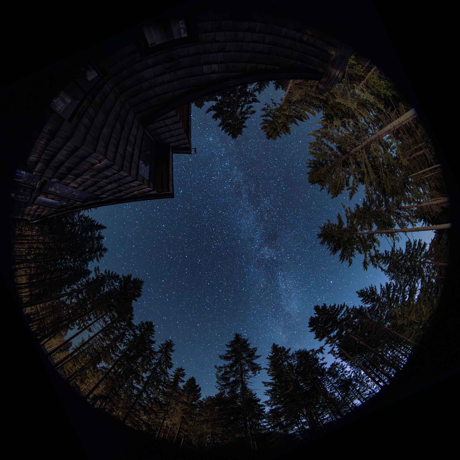 Milky Way  |  Springfield, OR, United States  |  2024