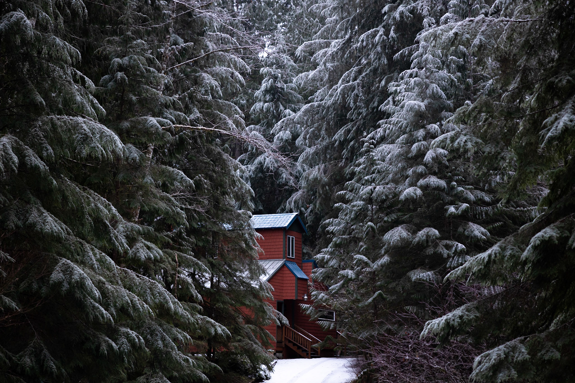 Mount Baker, WA, United States  |  2021