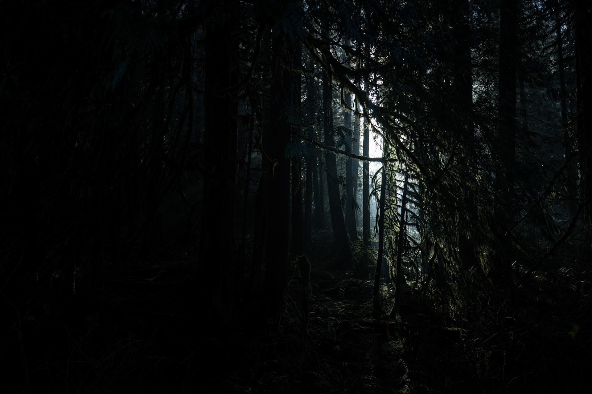 Mount Baker, WA, United States  |  2021