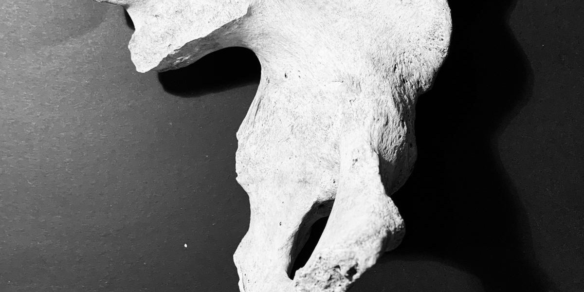 Bestimmung von Sterbealter und morphologischem Geschlechts