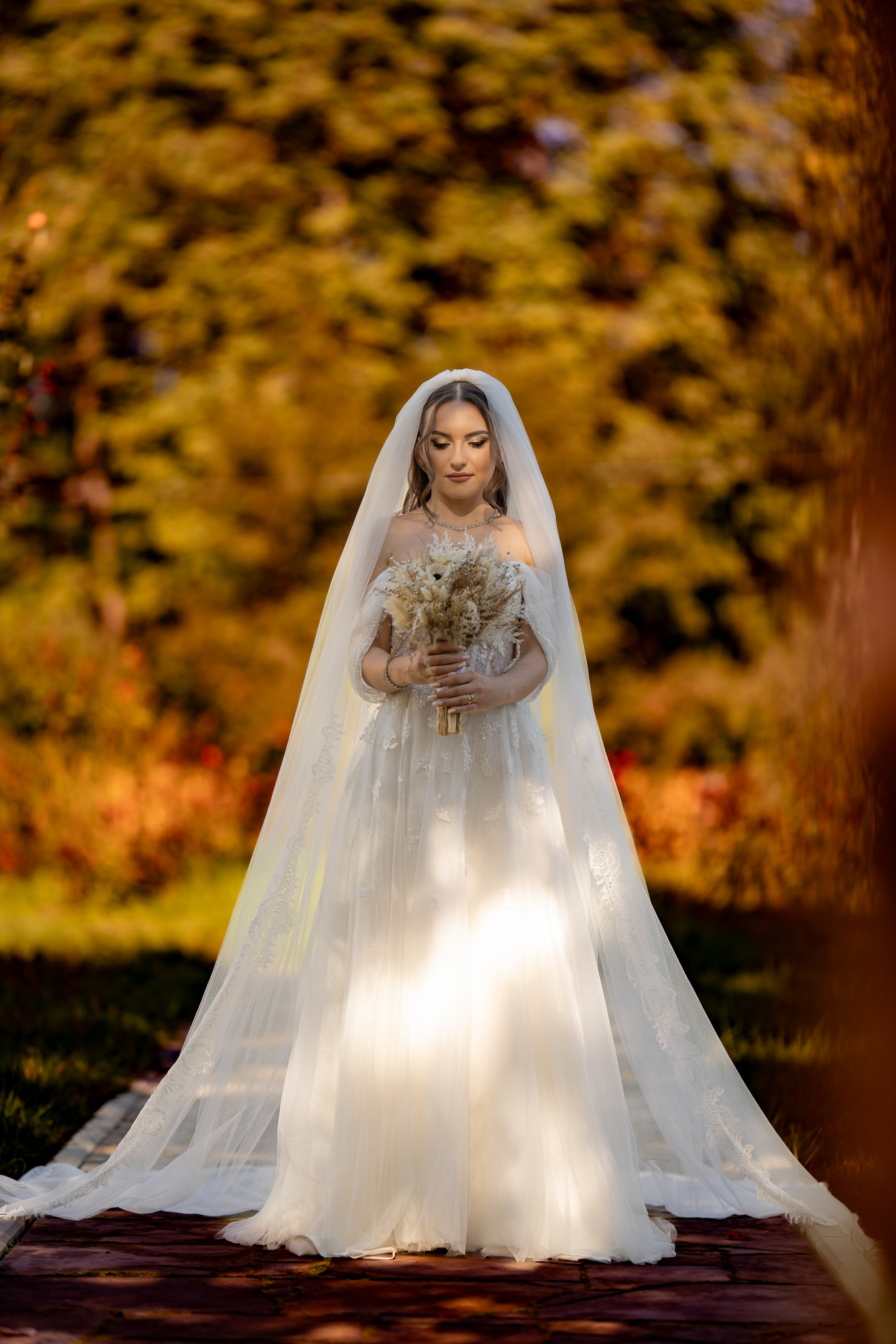 foto-video-iasi-servicii