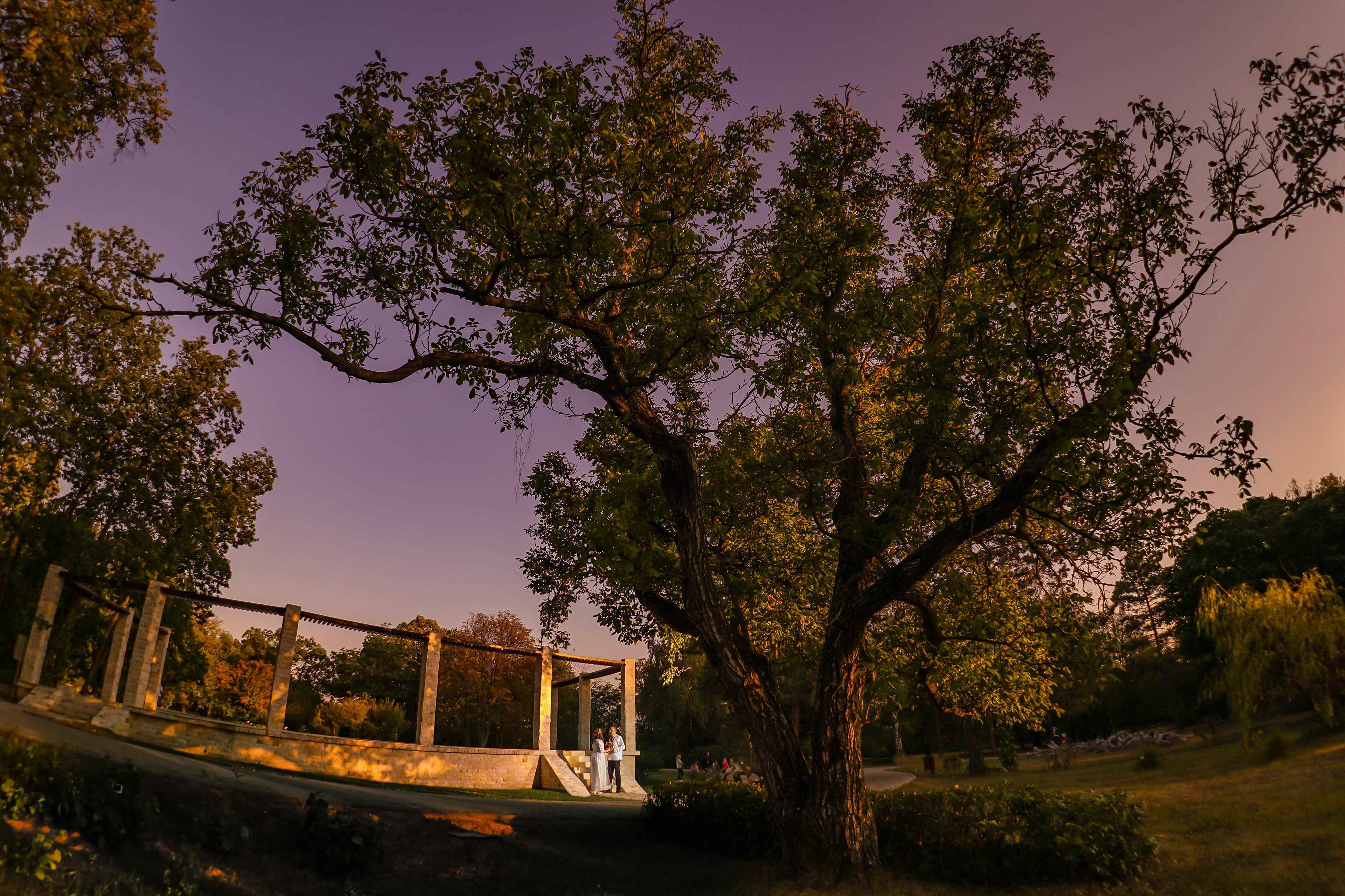 sedinta-foto-iasi-nunta