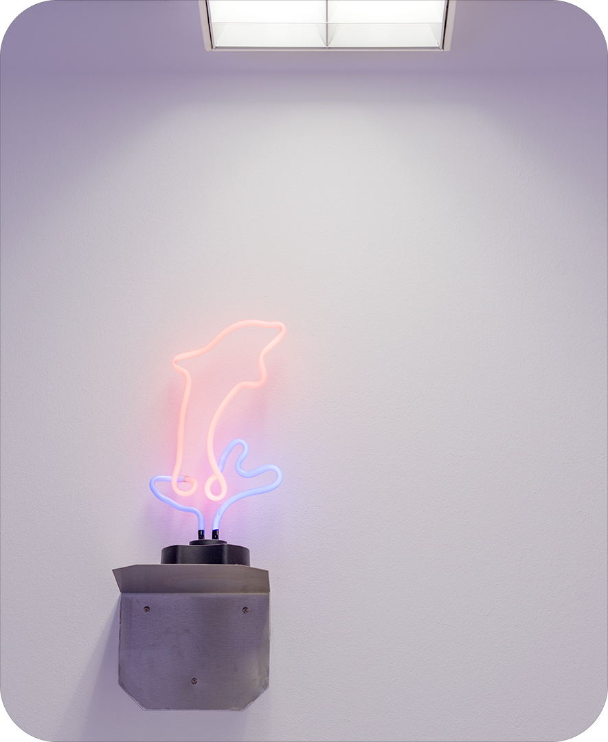 Neon Dolphin