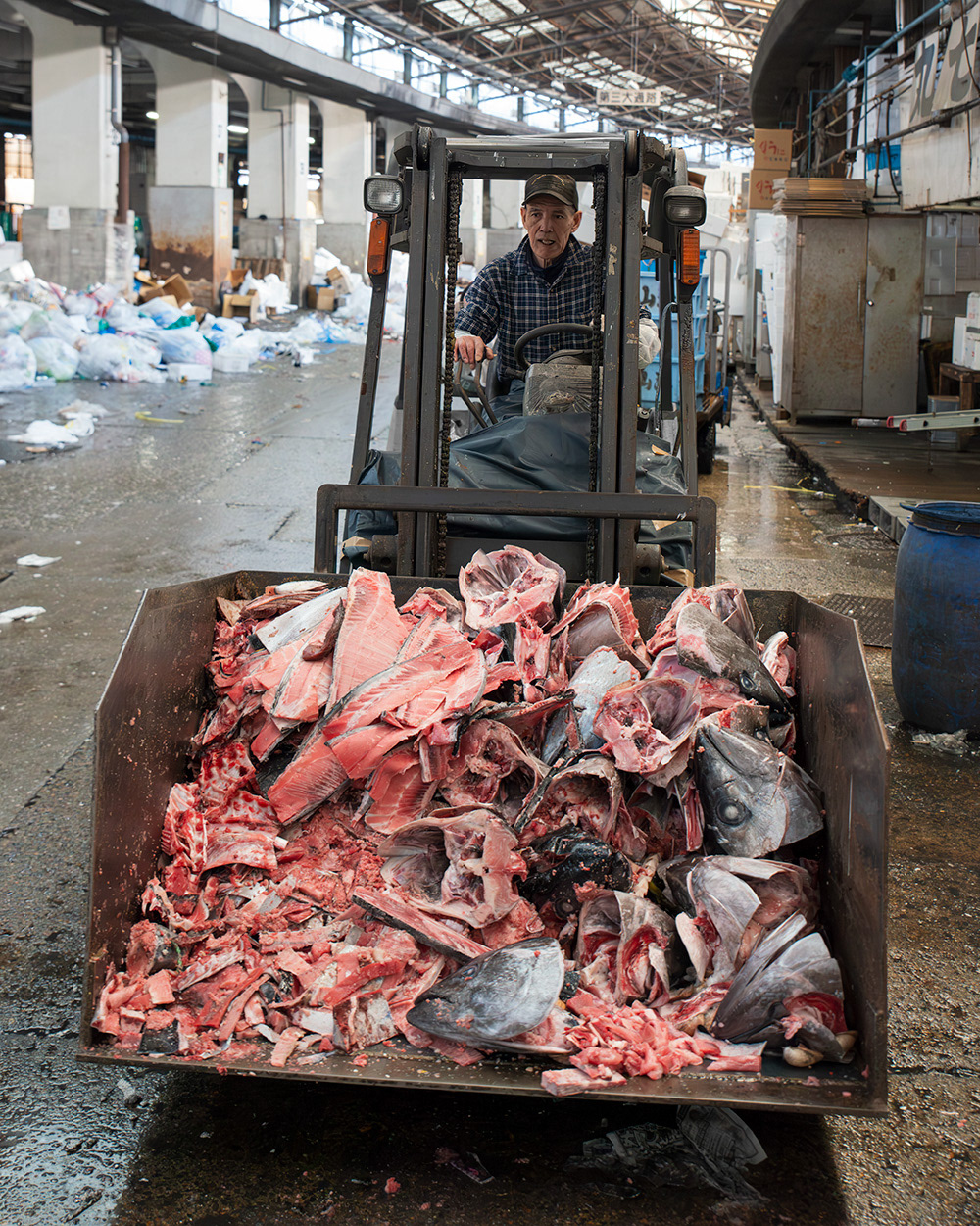 Tsukiji Fish Market. Tokyo.