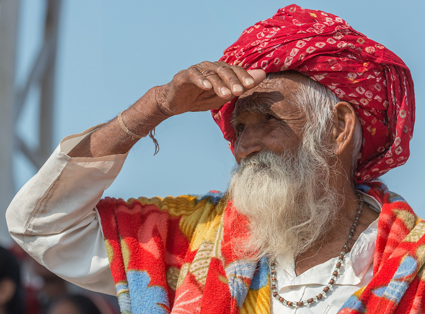 The Look Ahead. Pushkar.