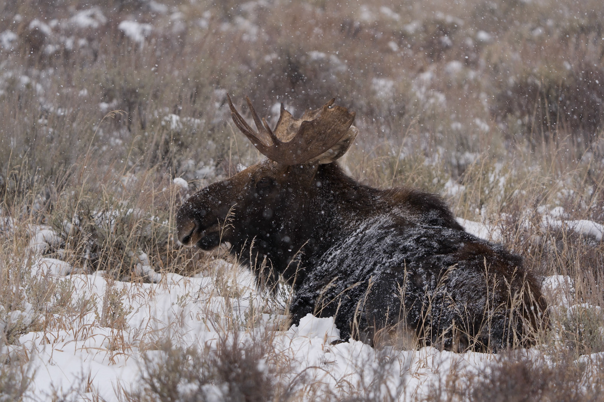 Grand Teton National Park