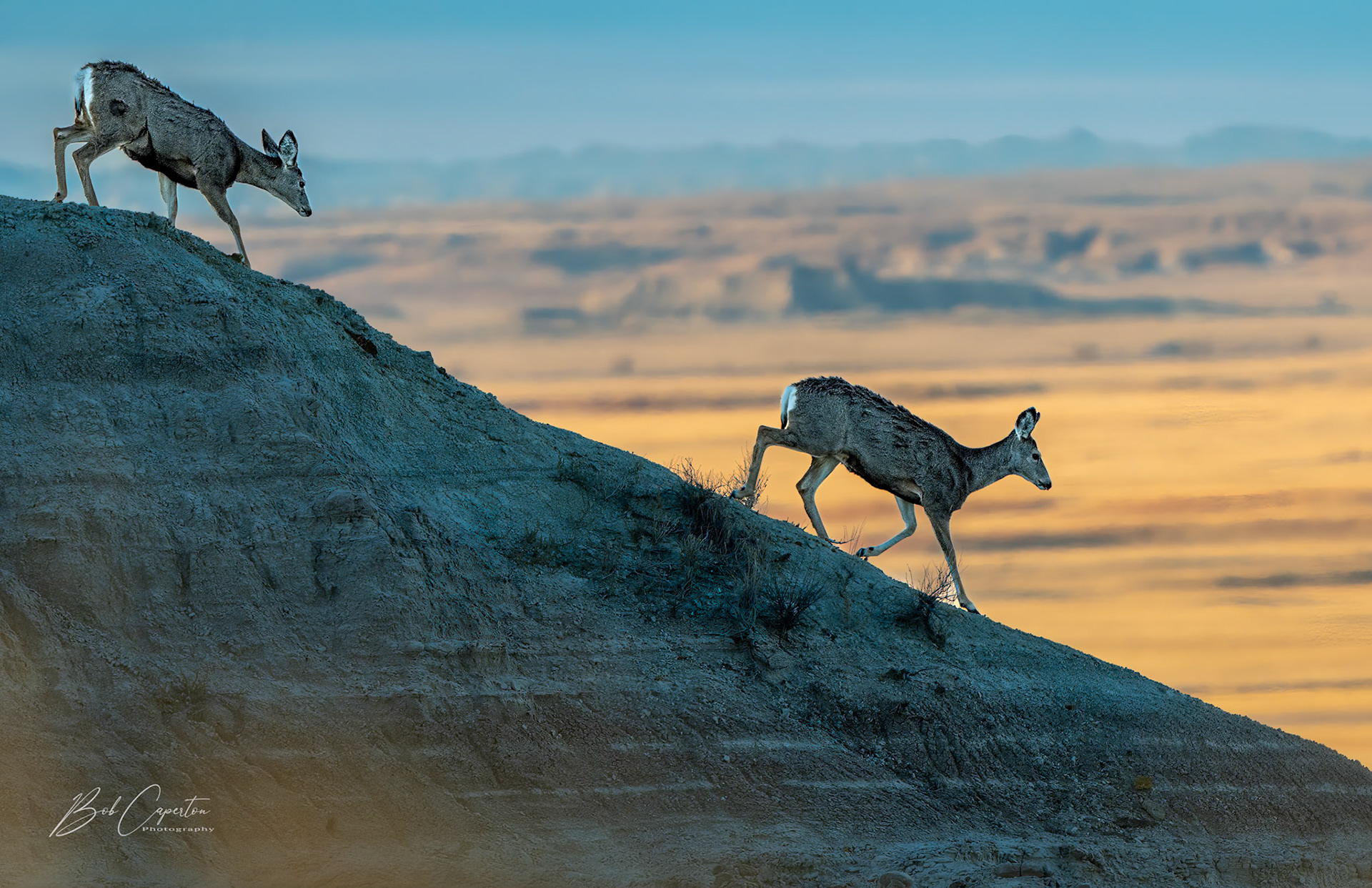 Follow Me - Badlands NP