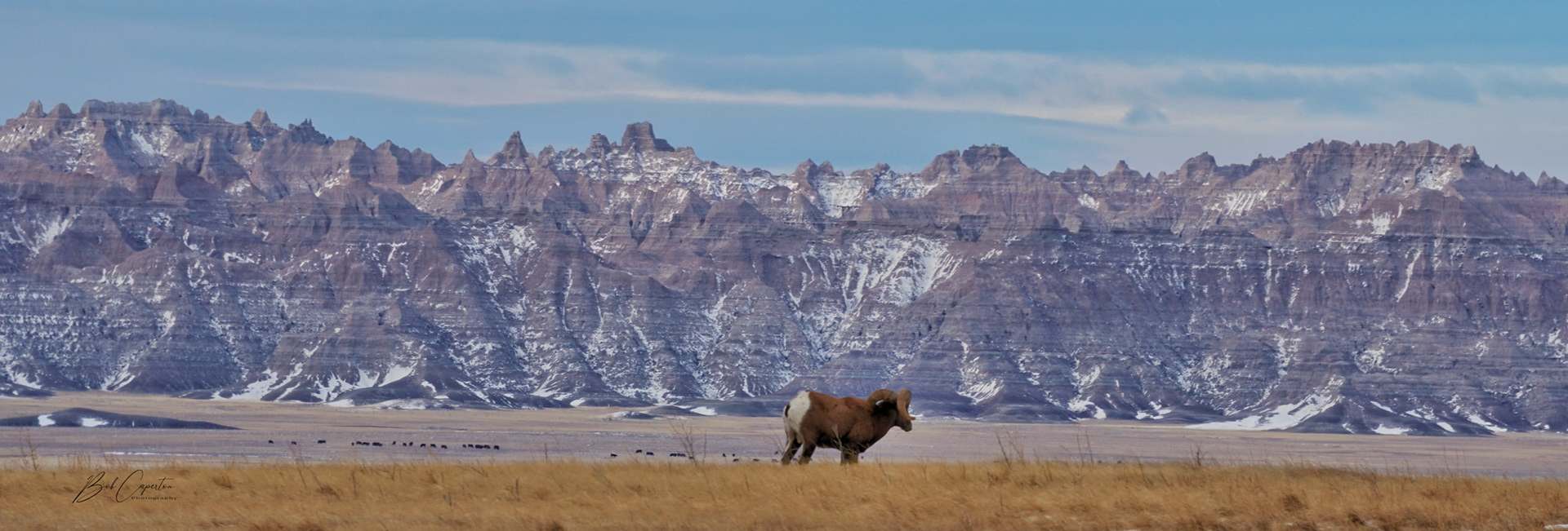 Survey the Domain Pano - Badlands NP