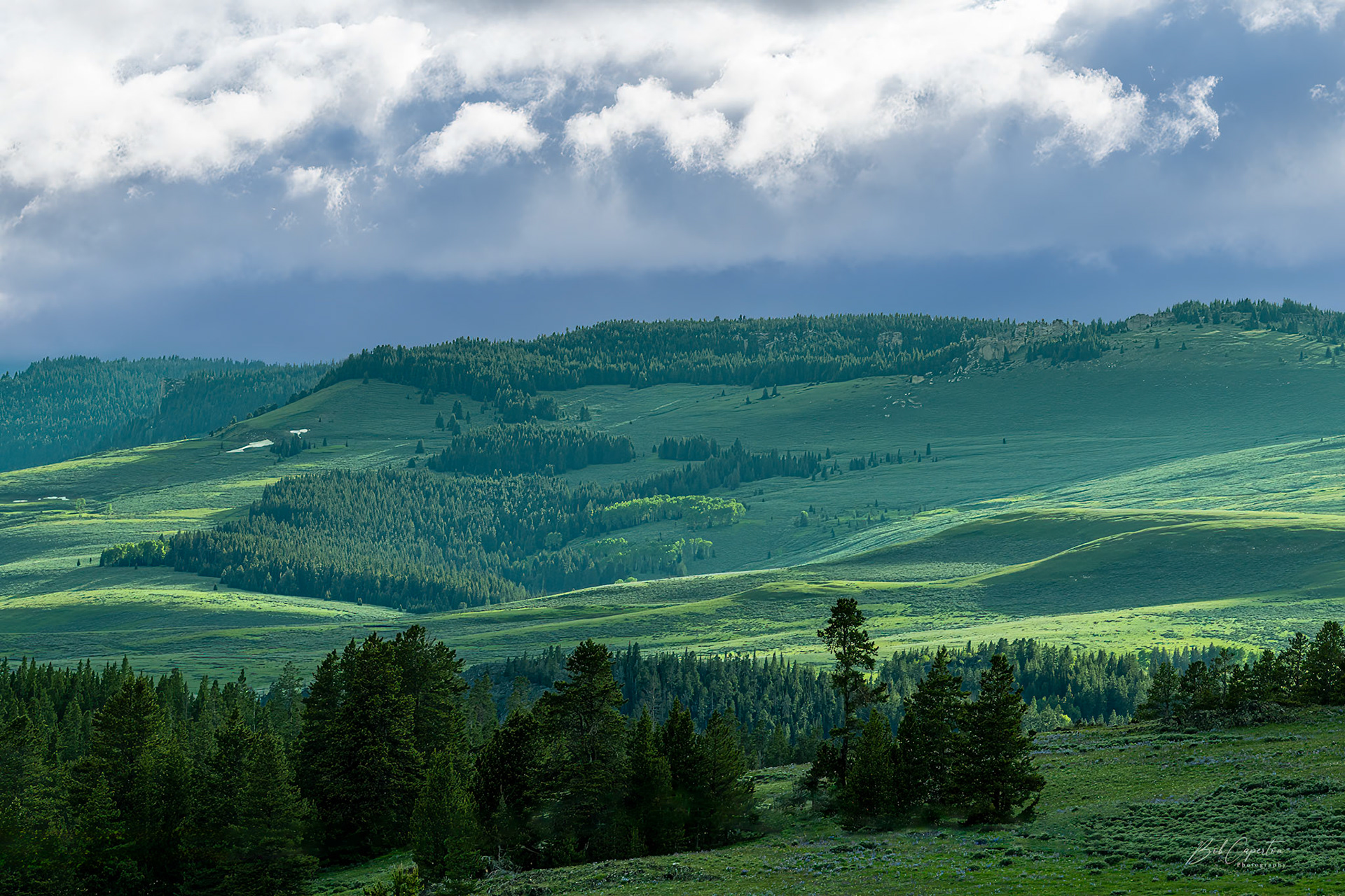 Campsite Morning View - Big Horn NF