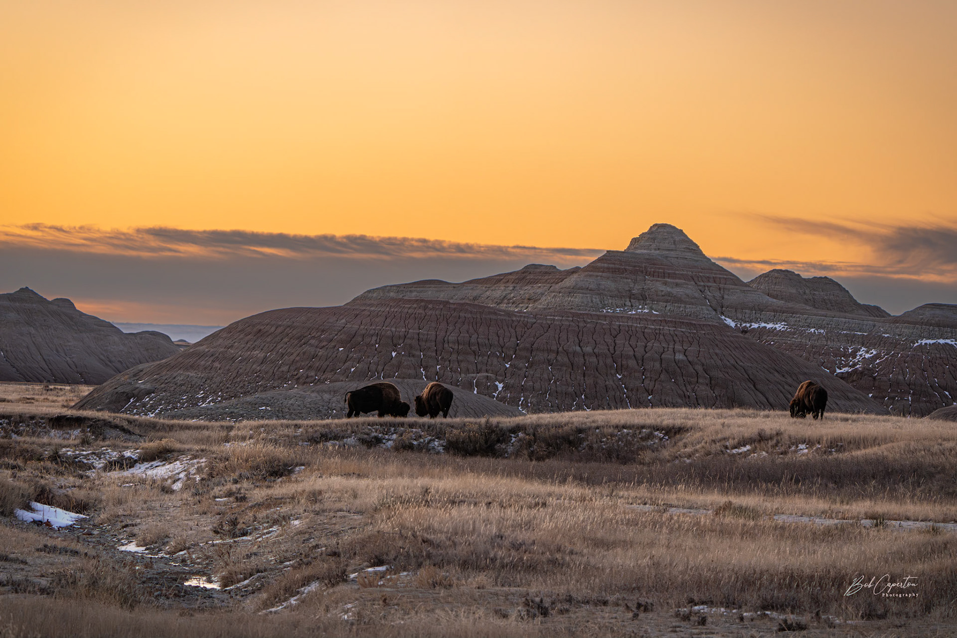 Wakey-Wakey - Badlands NP