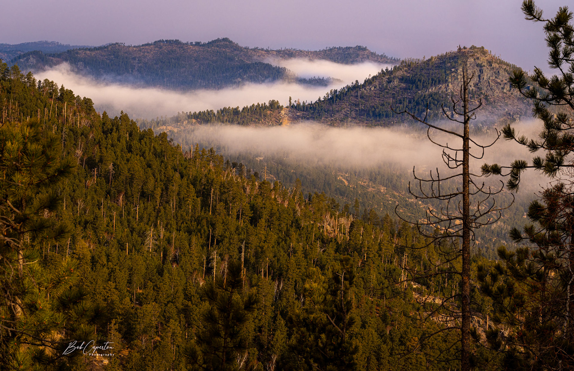 Foggy Start - Custer State Park
