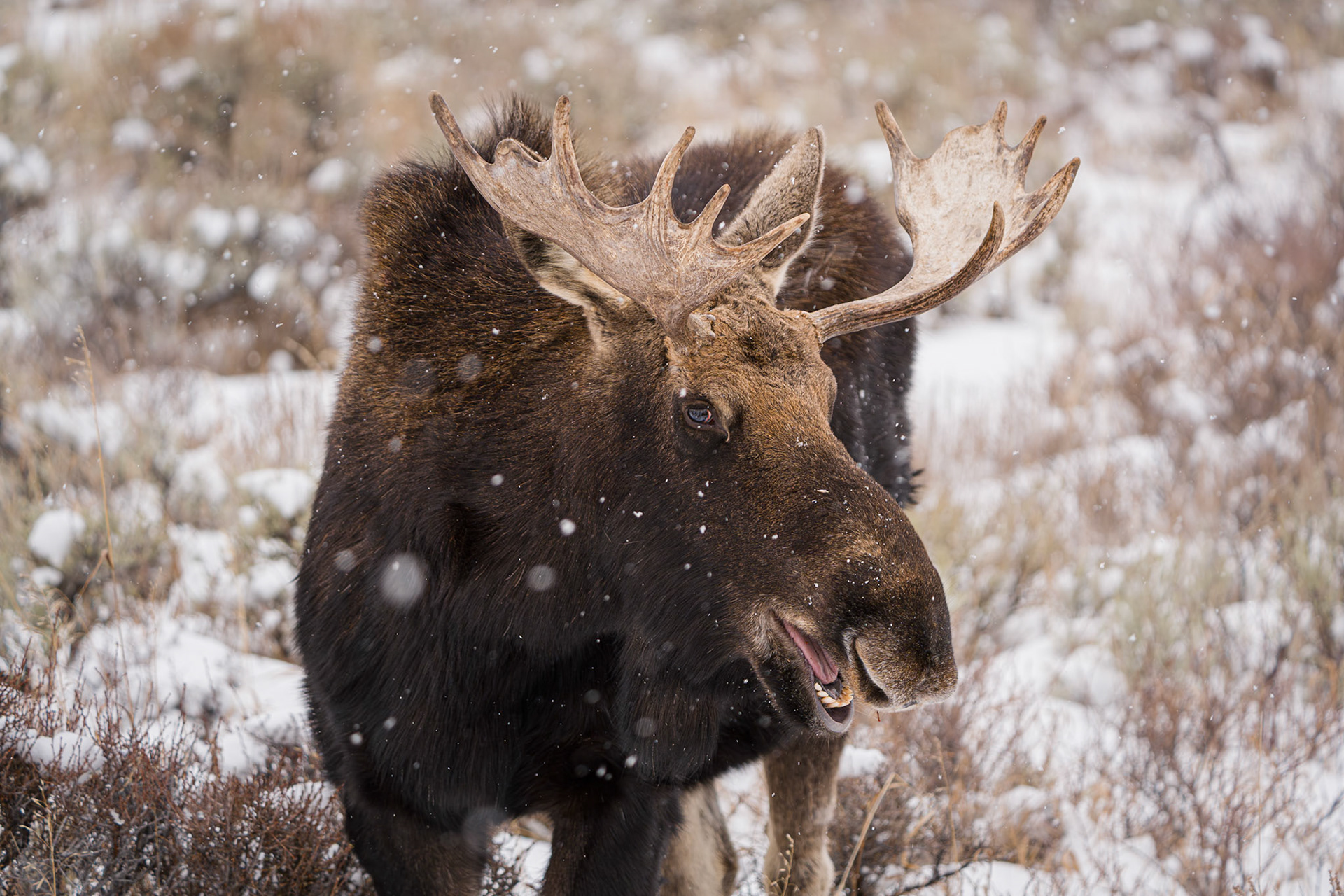Grand Teton National Park