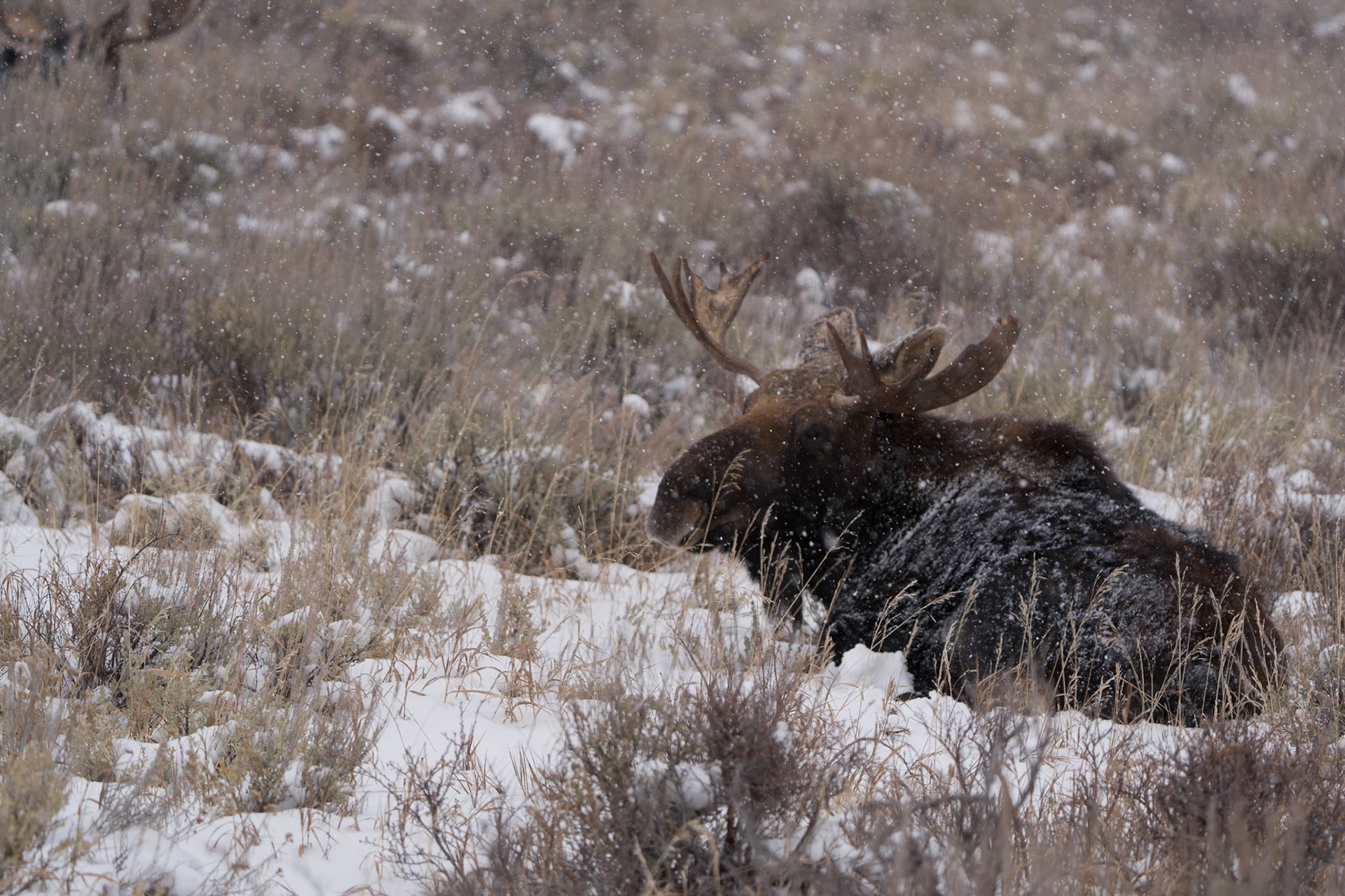 Grand Teton National Park