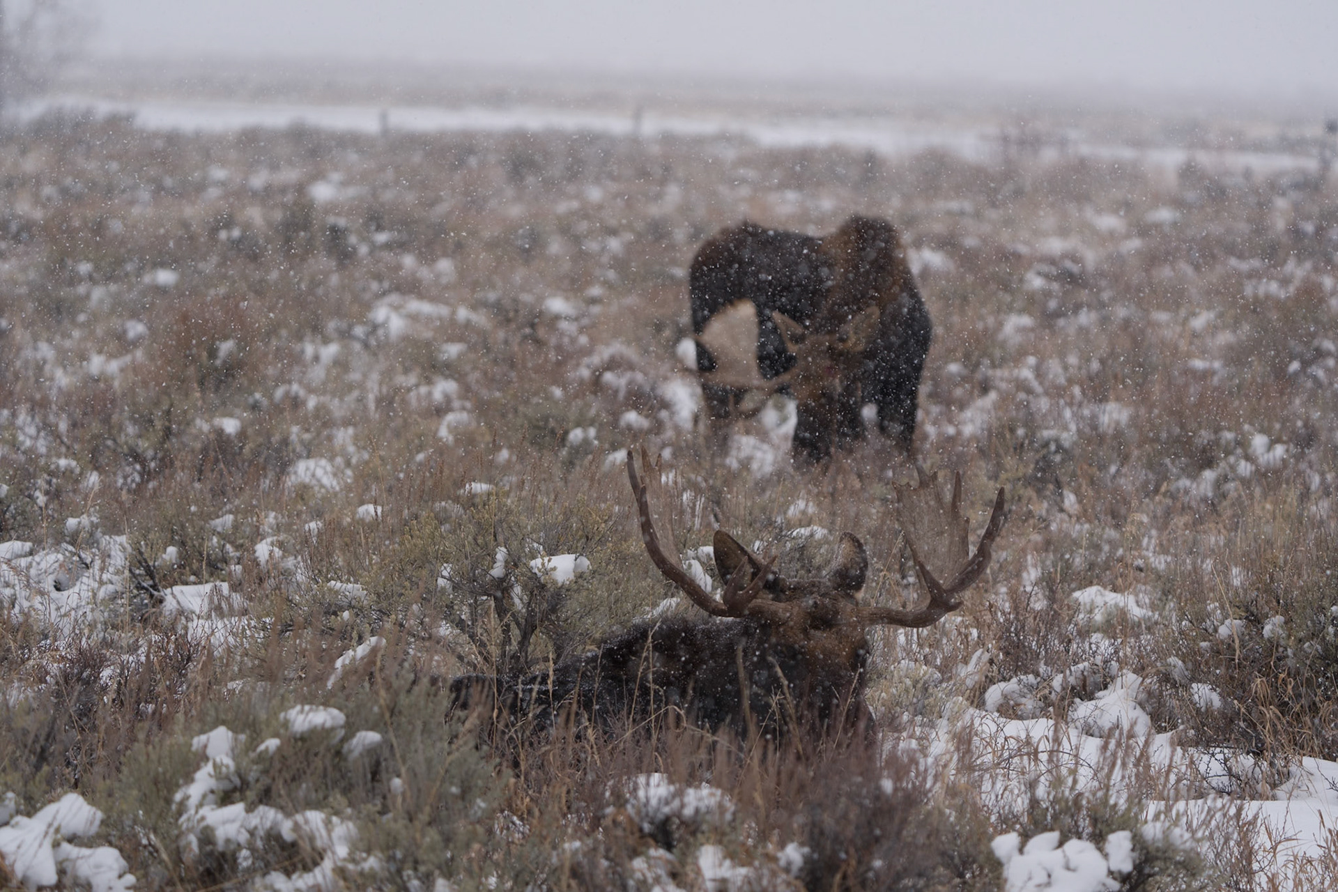 Grand Teton National Park