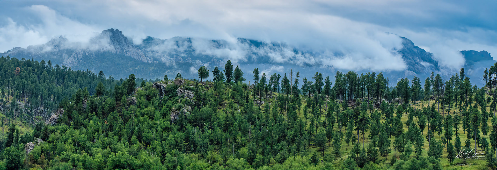 Fog Not Fire - Black Hills NF
