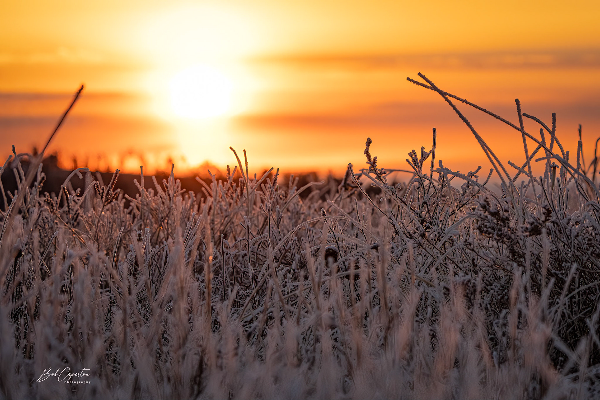 Frosty Sunrise - Wind Cave NP