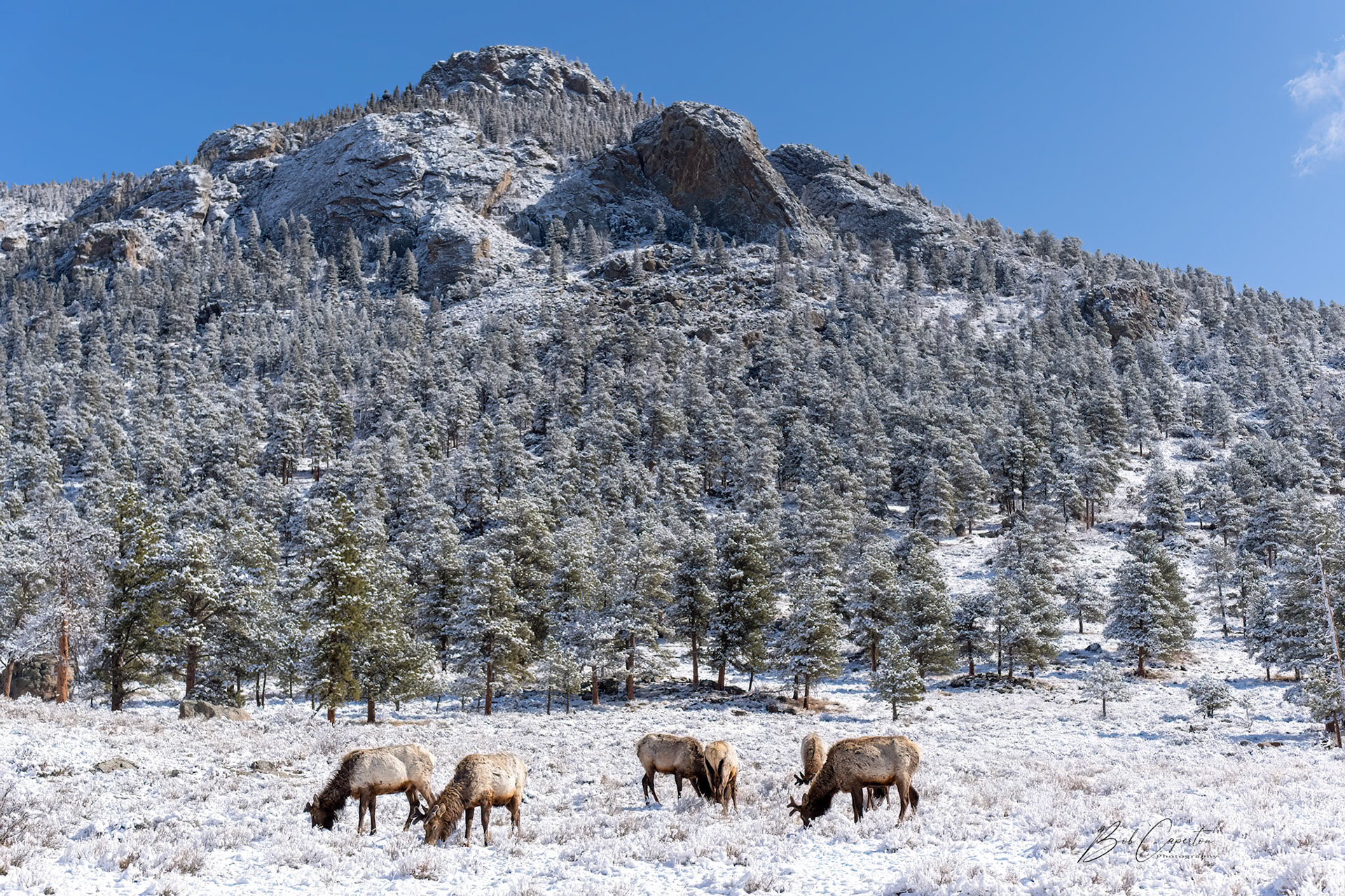 Spring Snow - Rocky Mountain NP