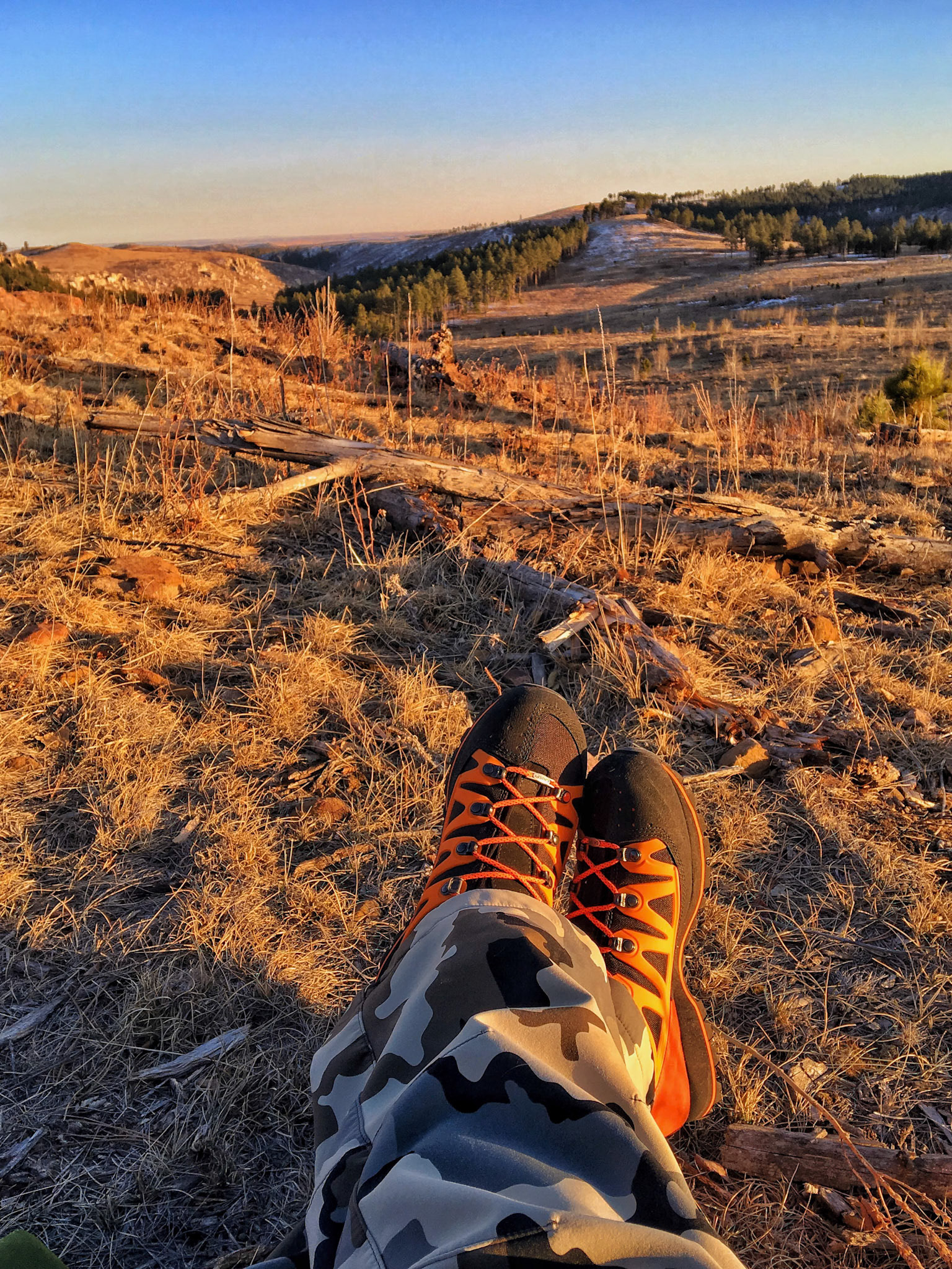 Boots View - Early Spring - Black Hills NF