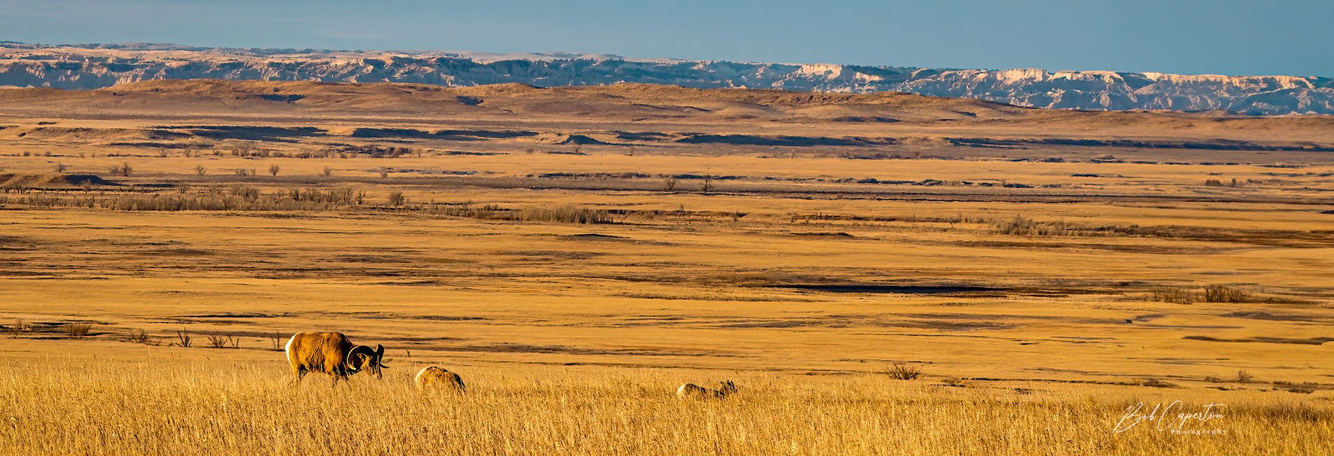 Breakfast With Friends - Badlands NP